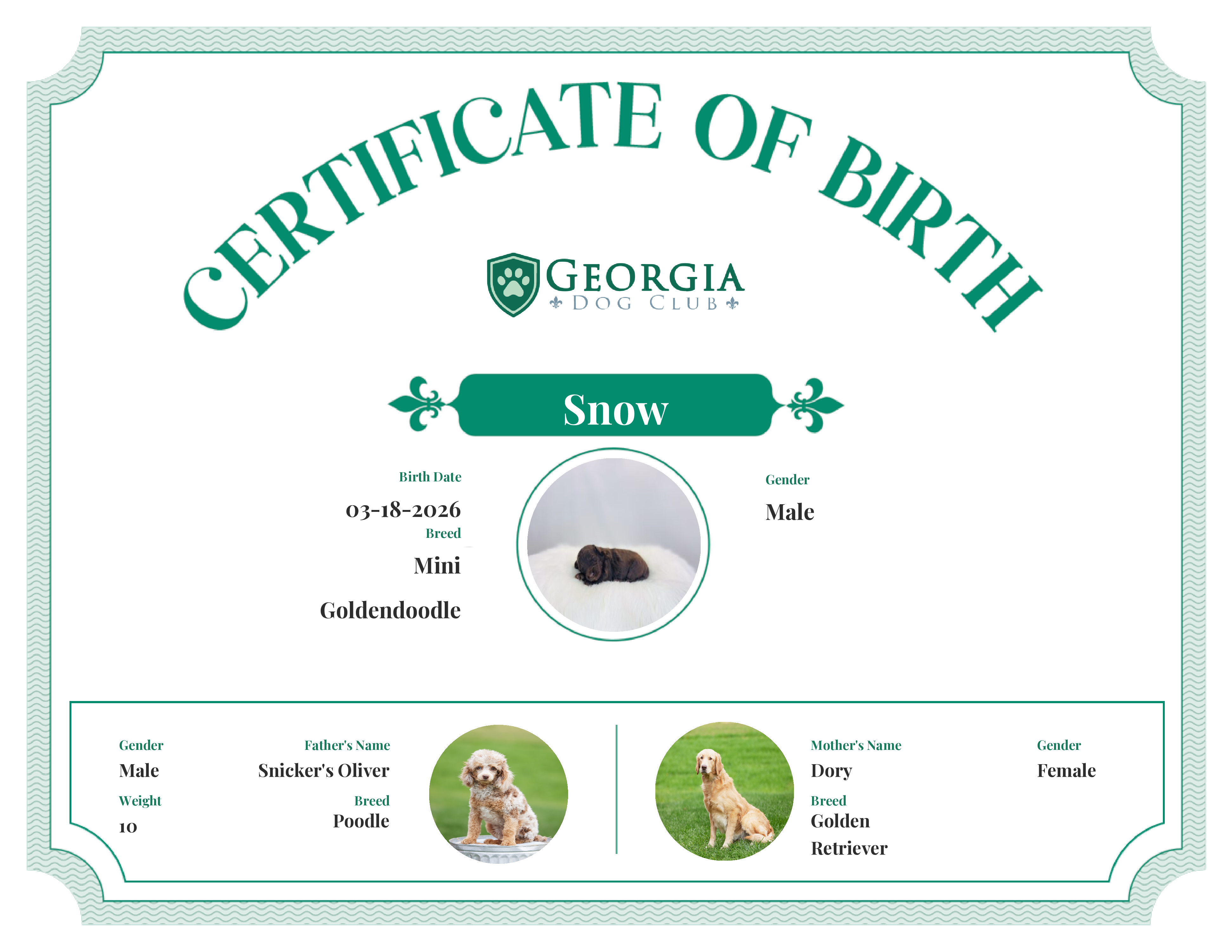 Snow's Birth Certificate