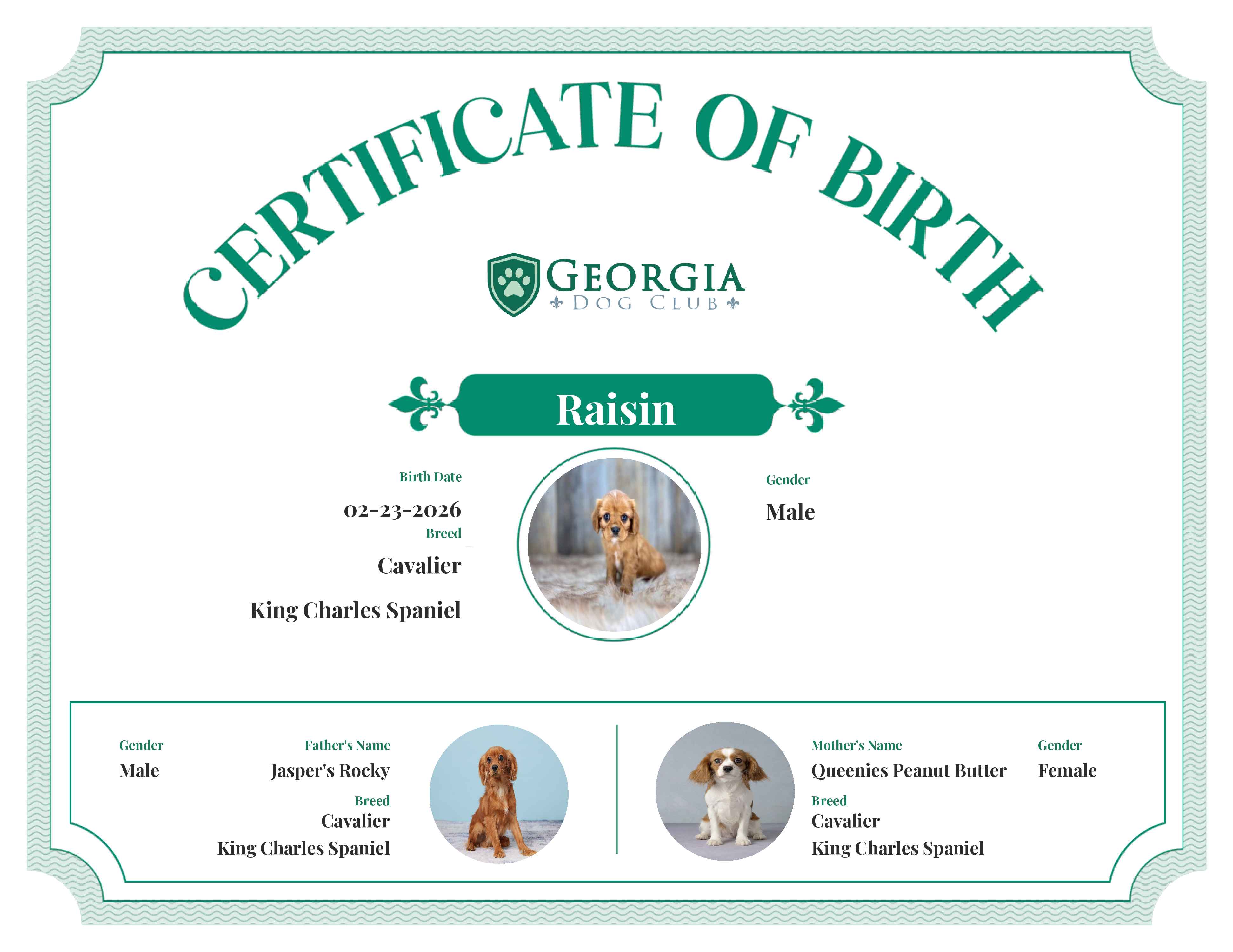 Raisin's Birth Certificate