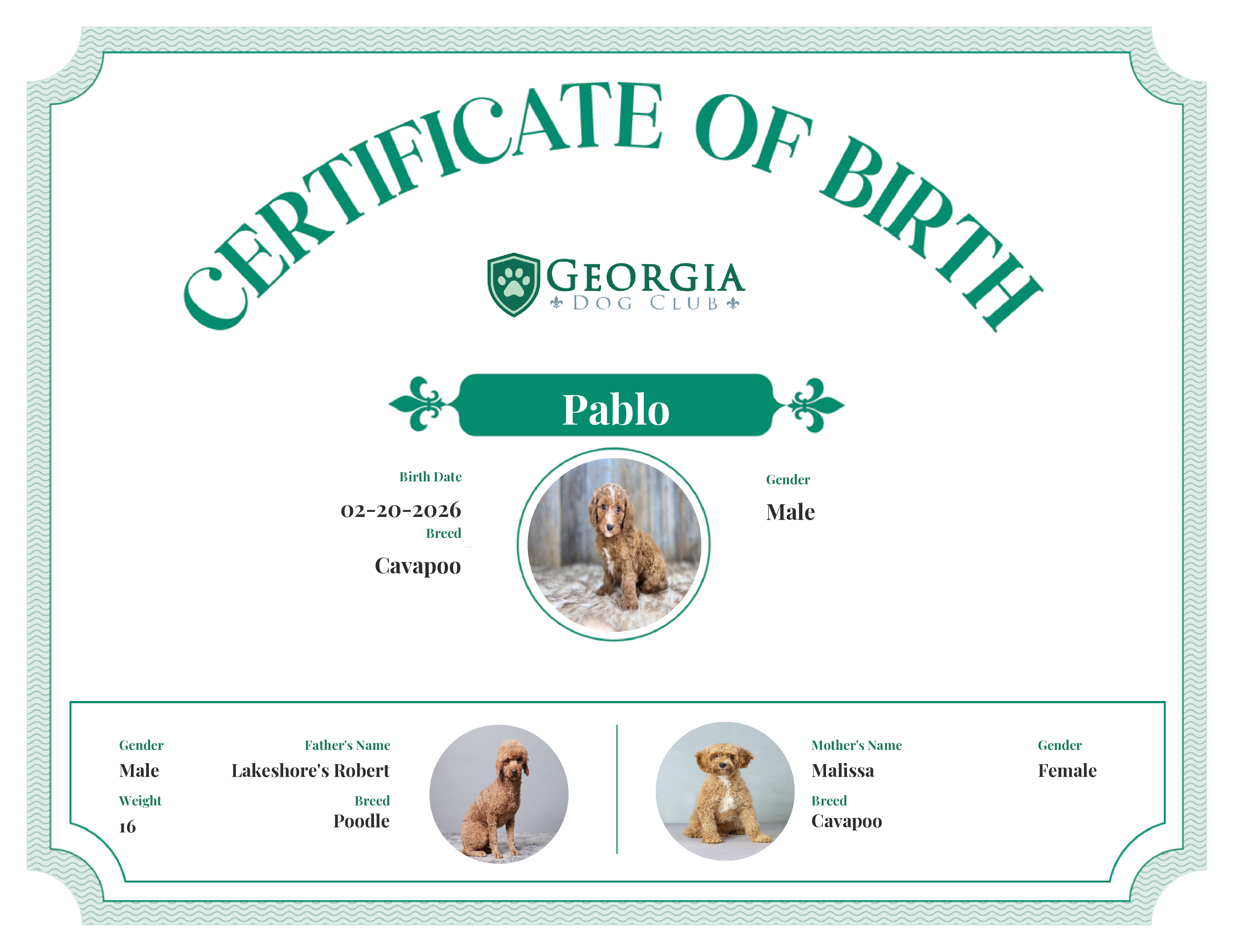 Pablo's Birth Certificate