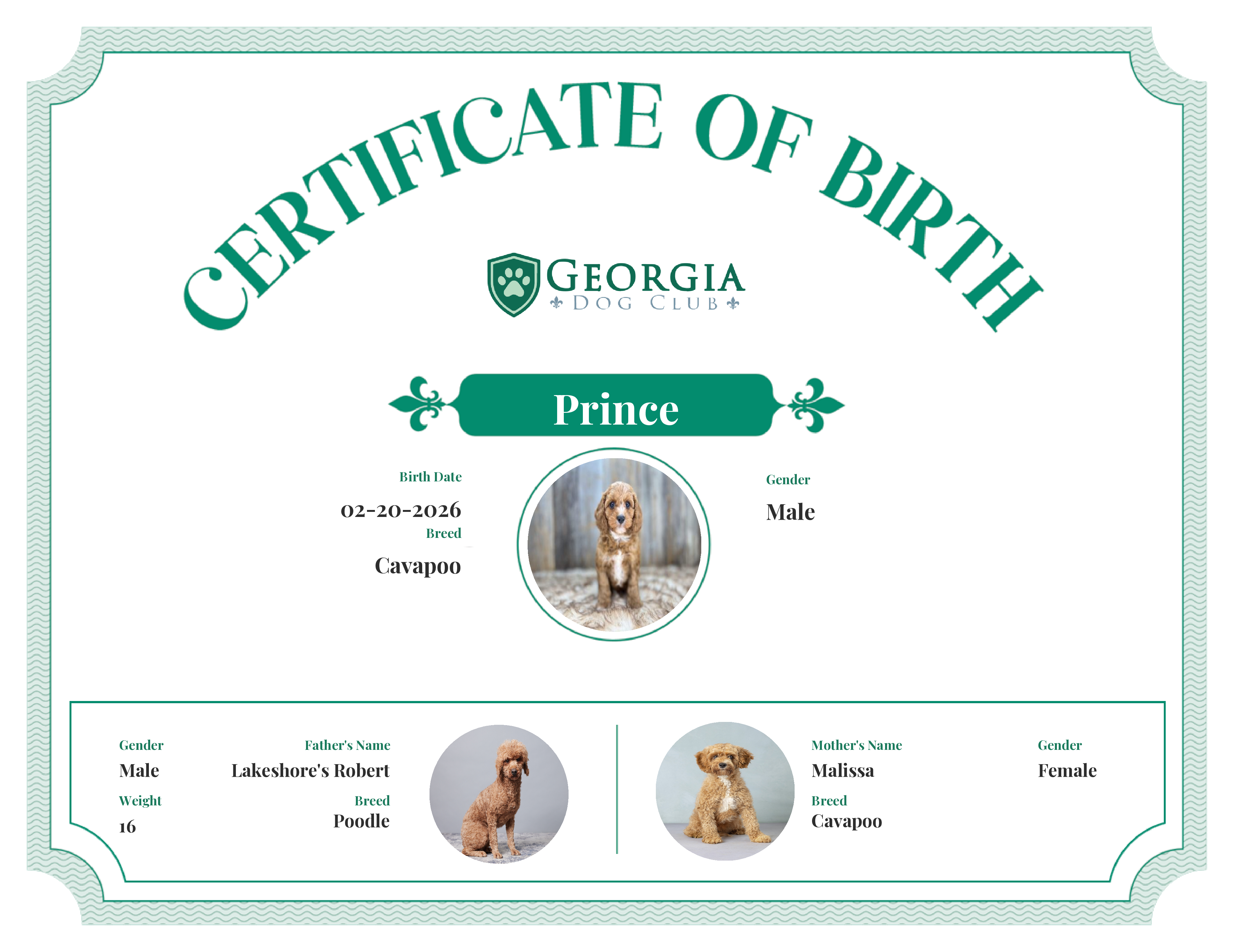 Prince's Birth Certificate