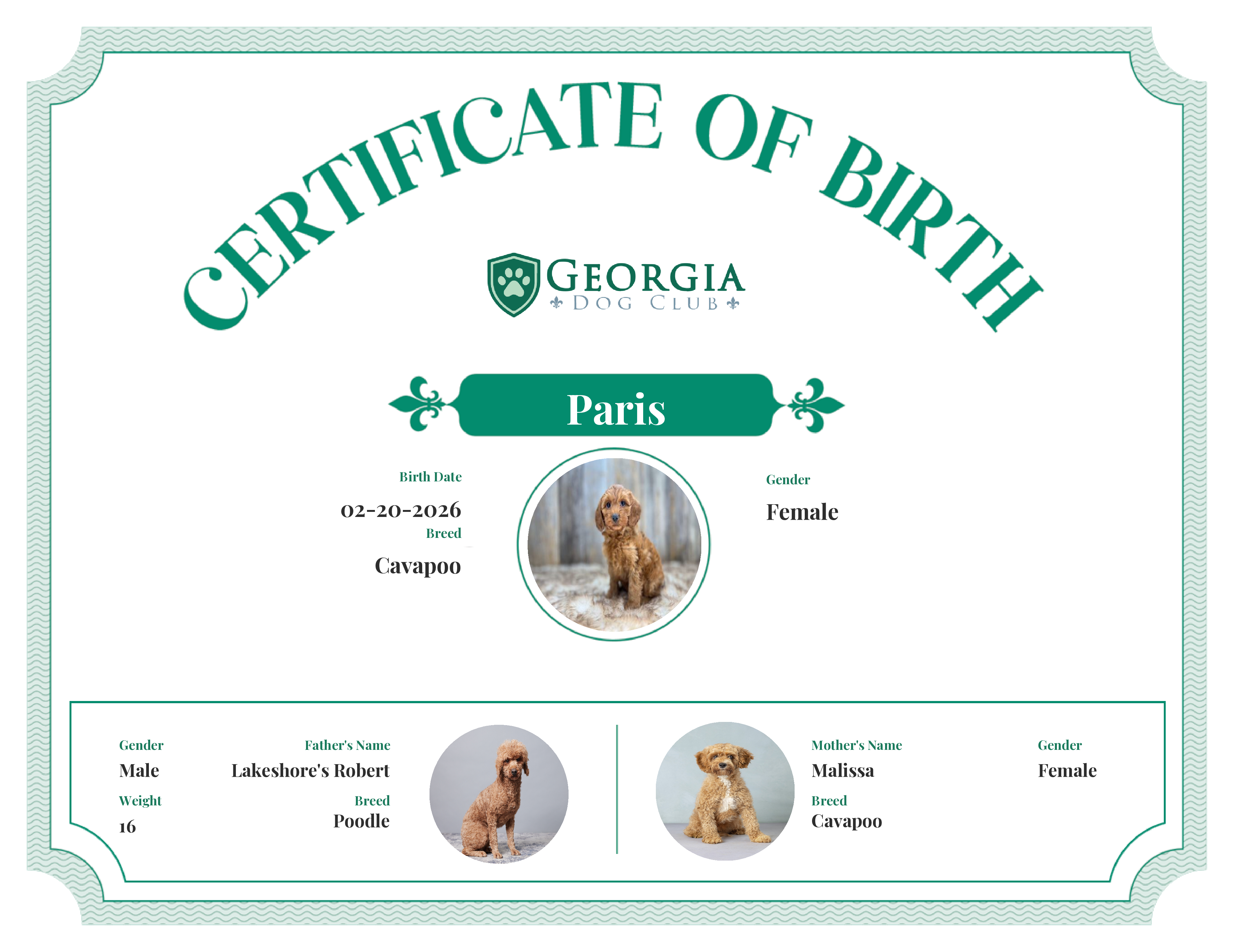 Paris's Birth Certificate