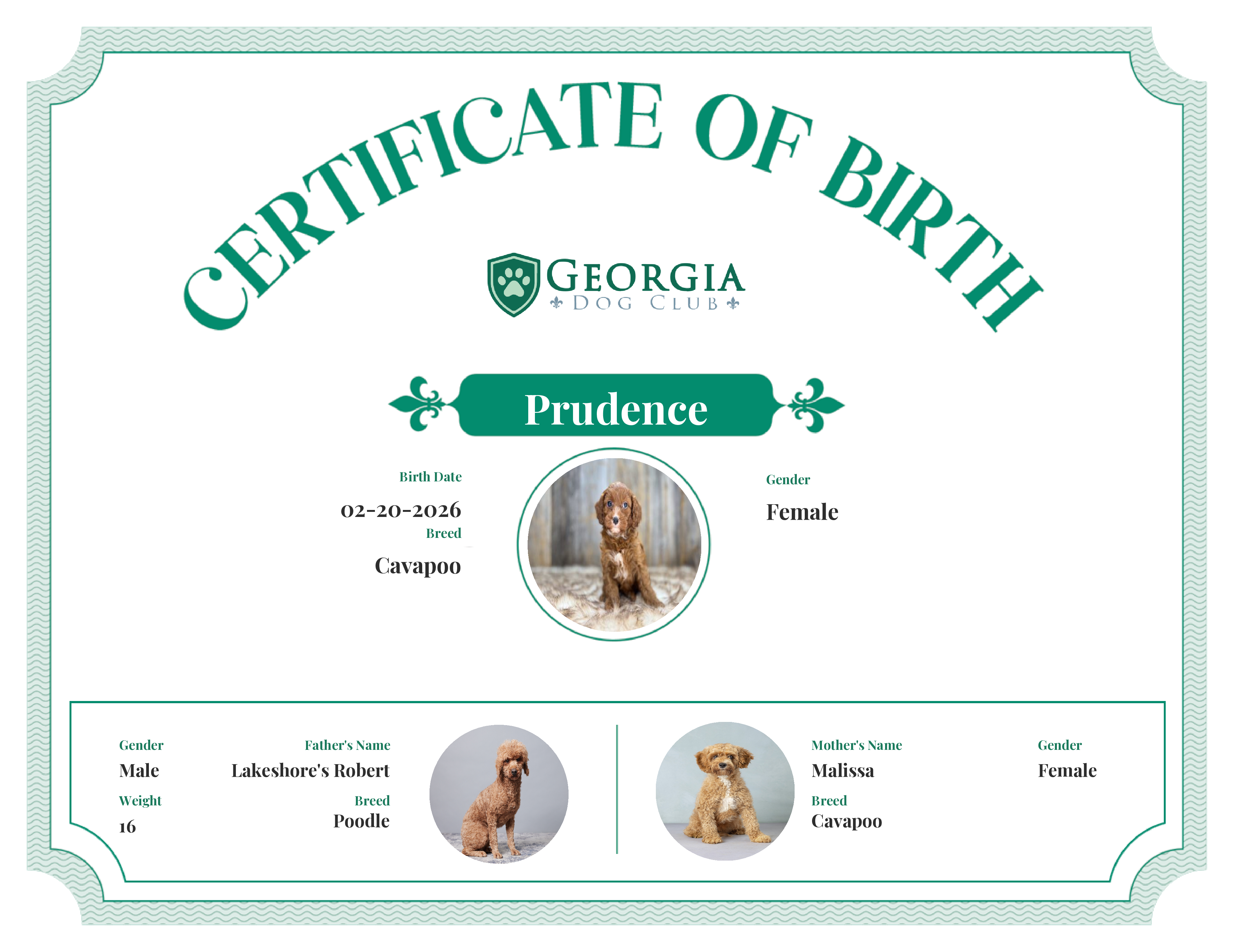 Prudence's Birth Certificate