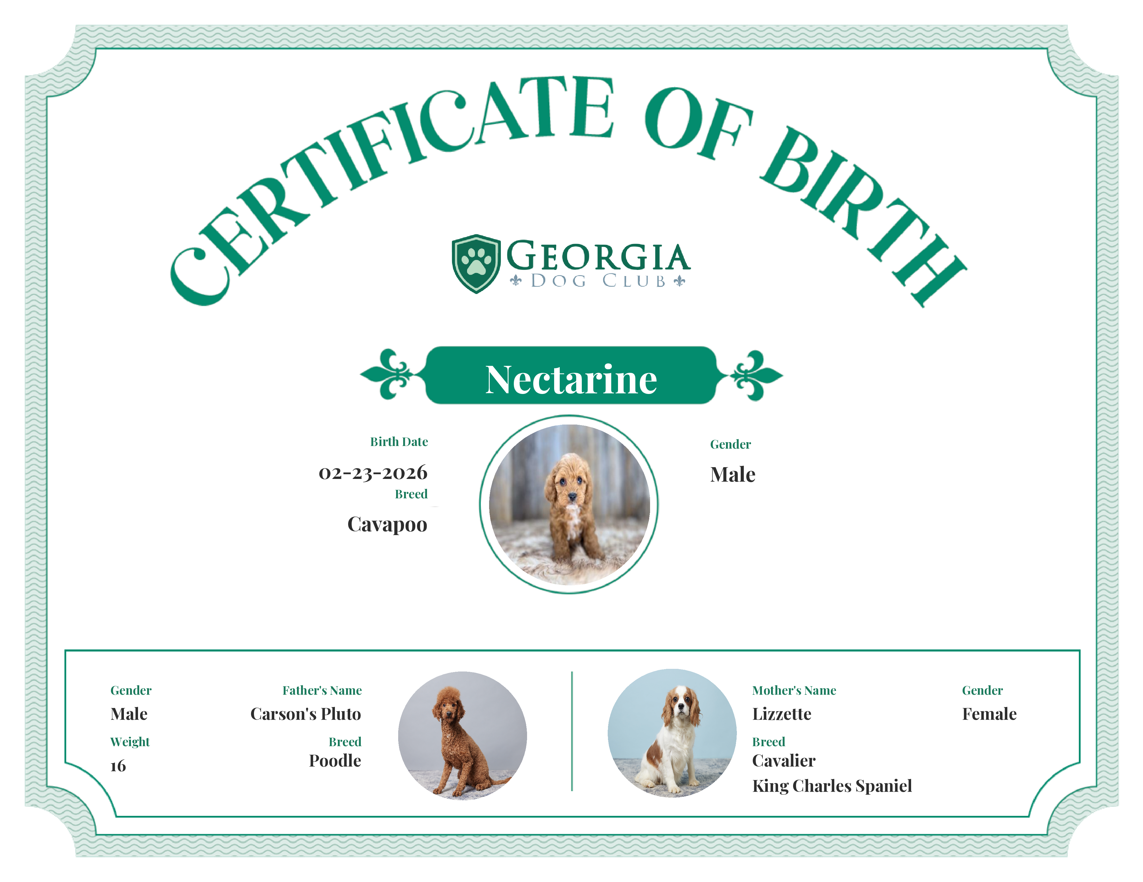 Nectarine's Birth Certificate