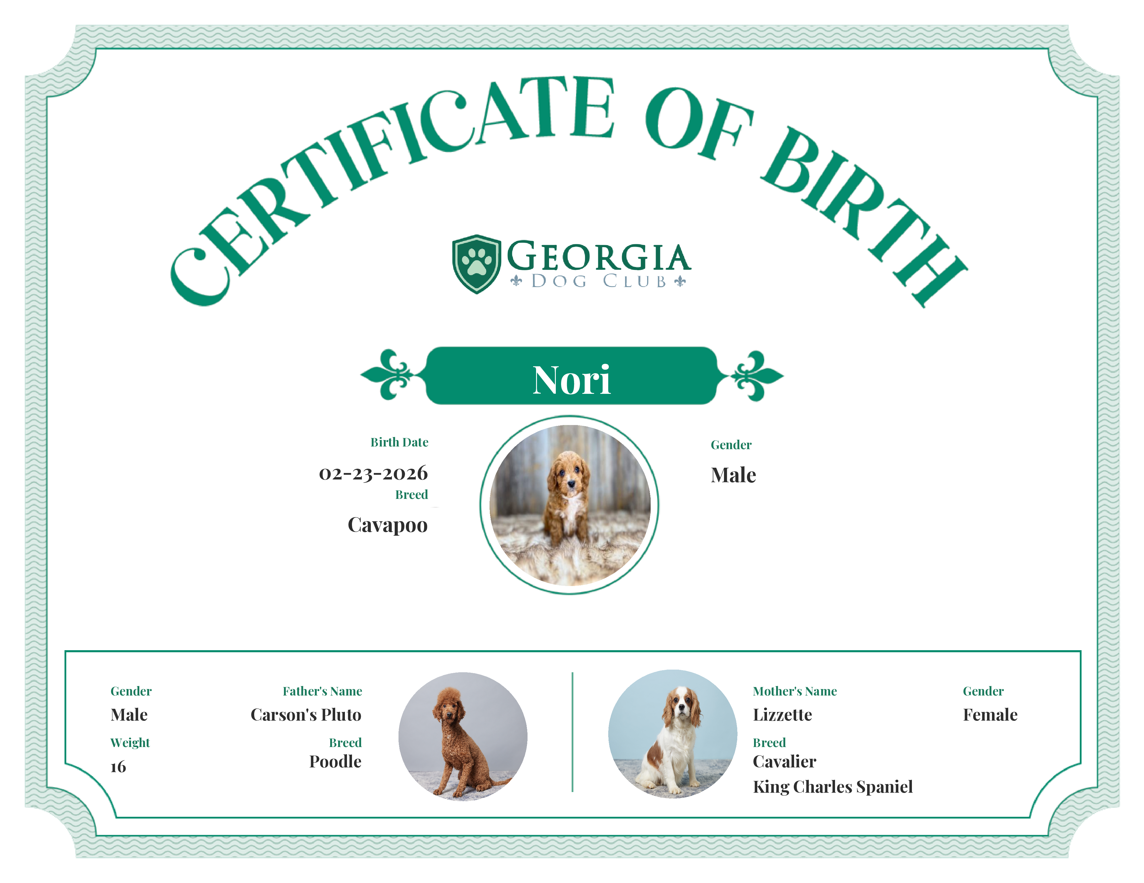Nori's Birth Certificate
