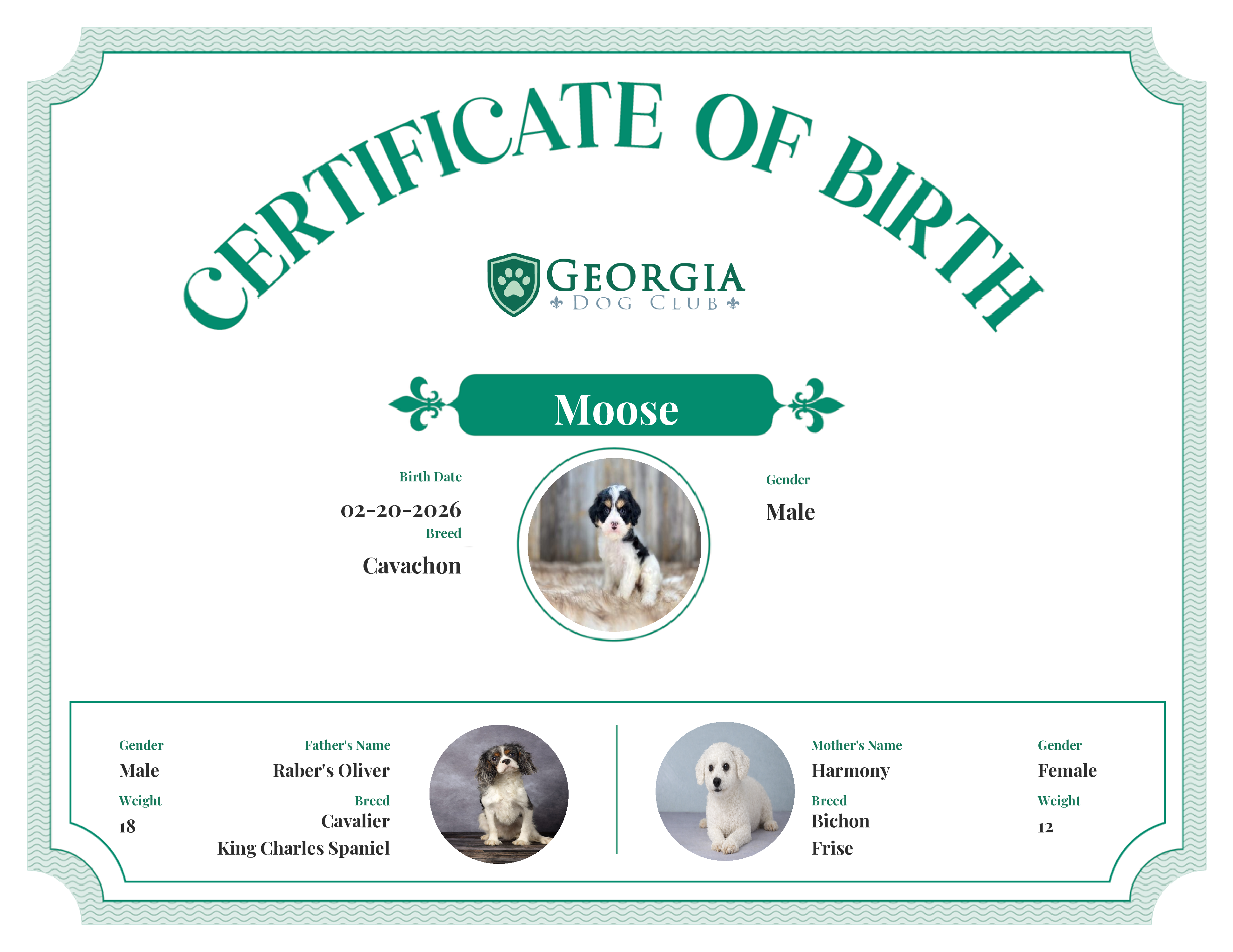 Moose's Birth Certificate