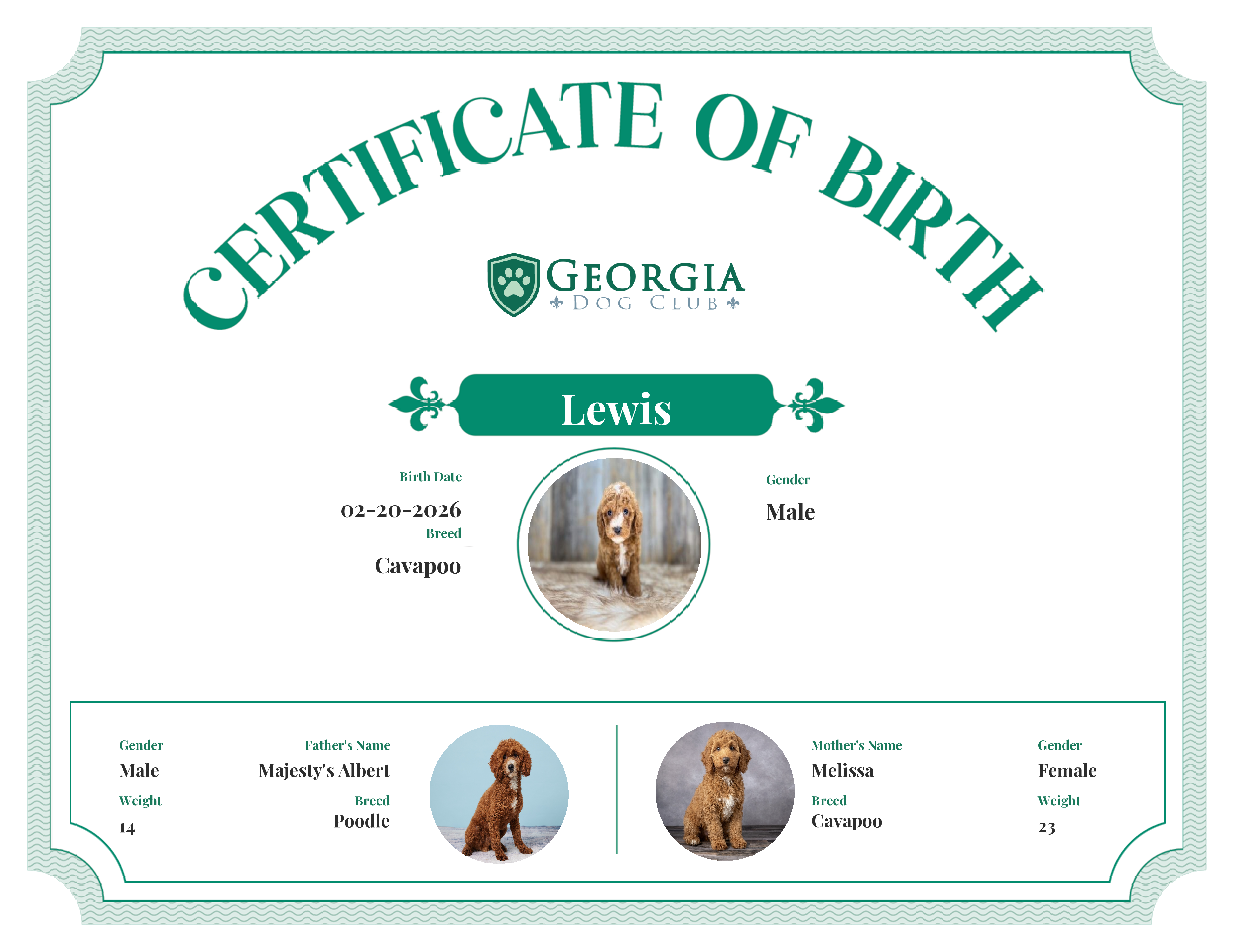Lewis's Birth Certificate