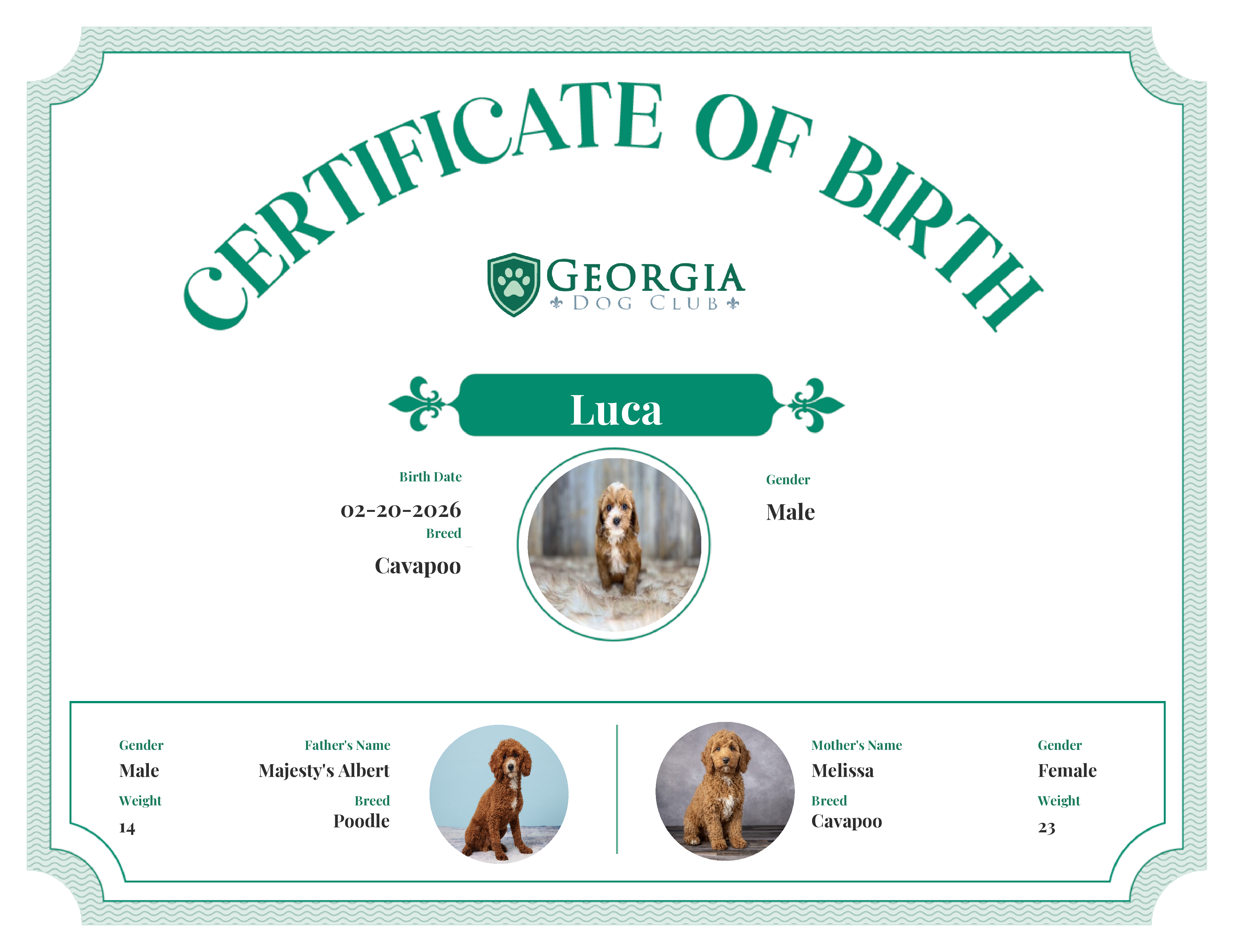 Luca's Birth Certificate