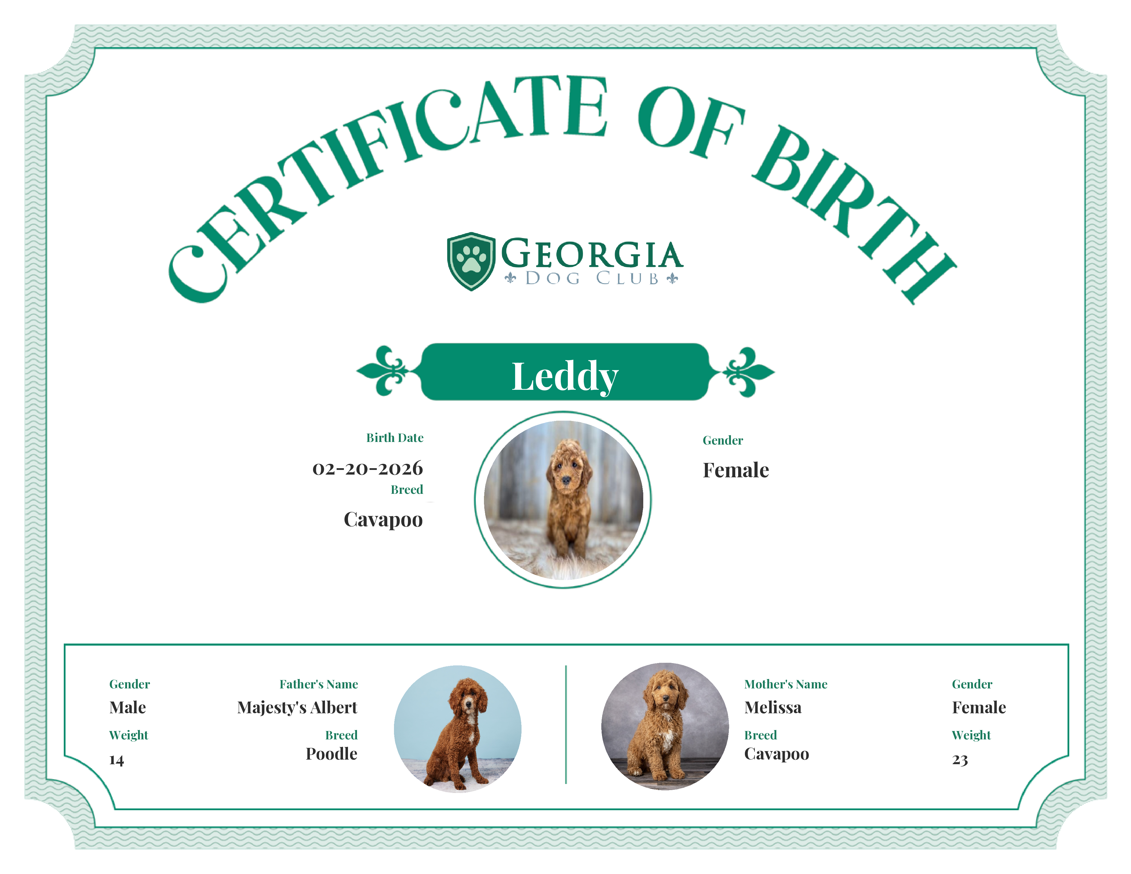 Leddy's Birth Certificate