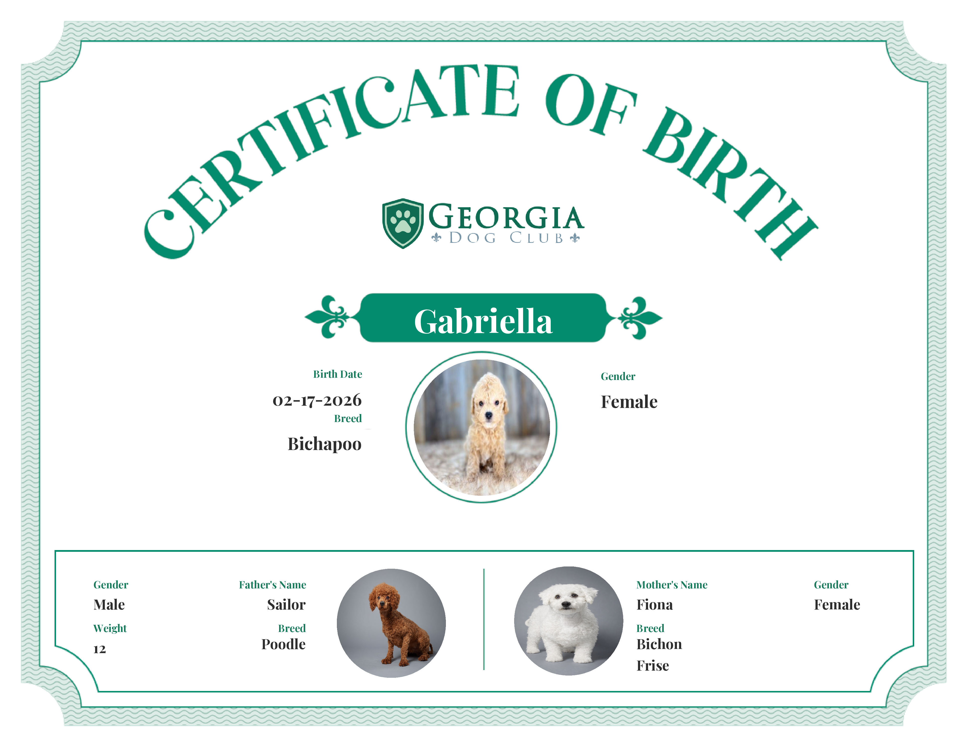 Gabriella's Birth Certificate