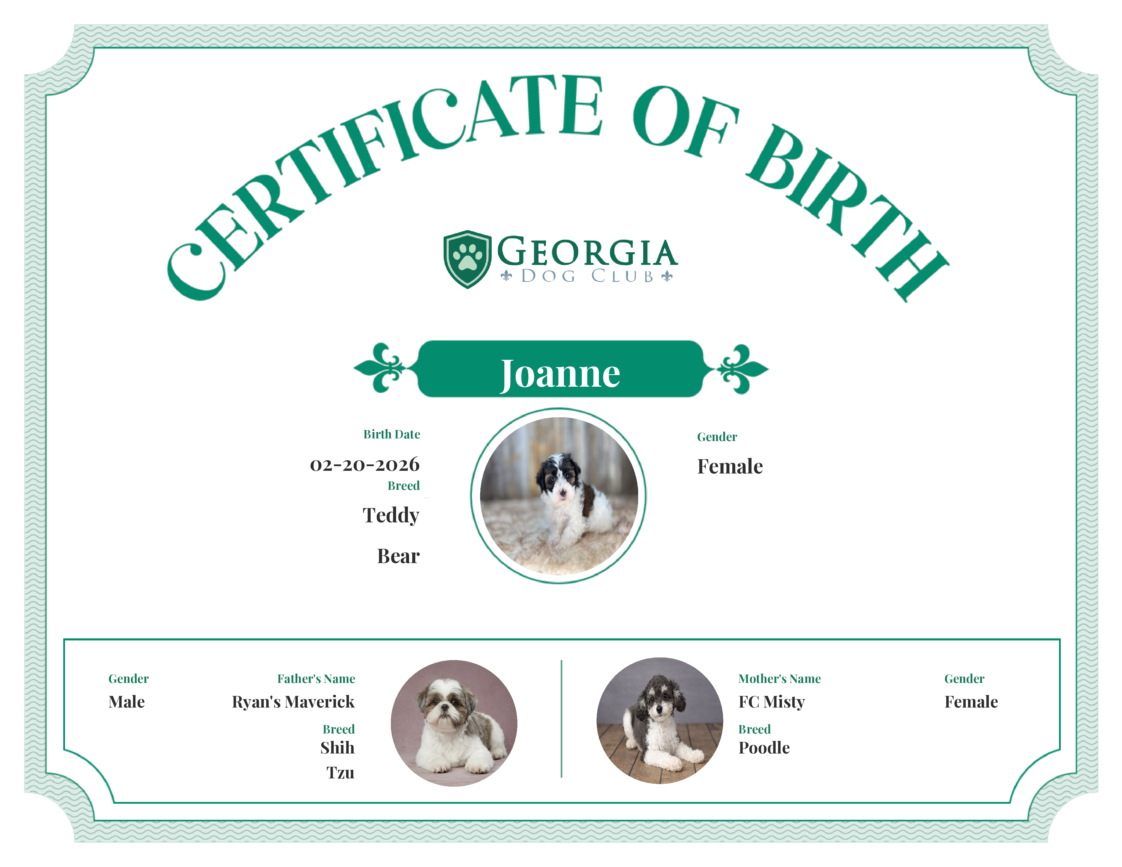 Joanne's Birth Certificate
