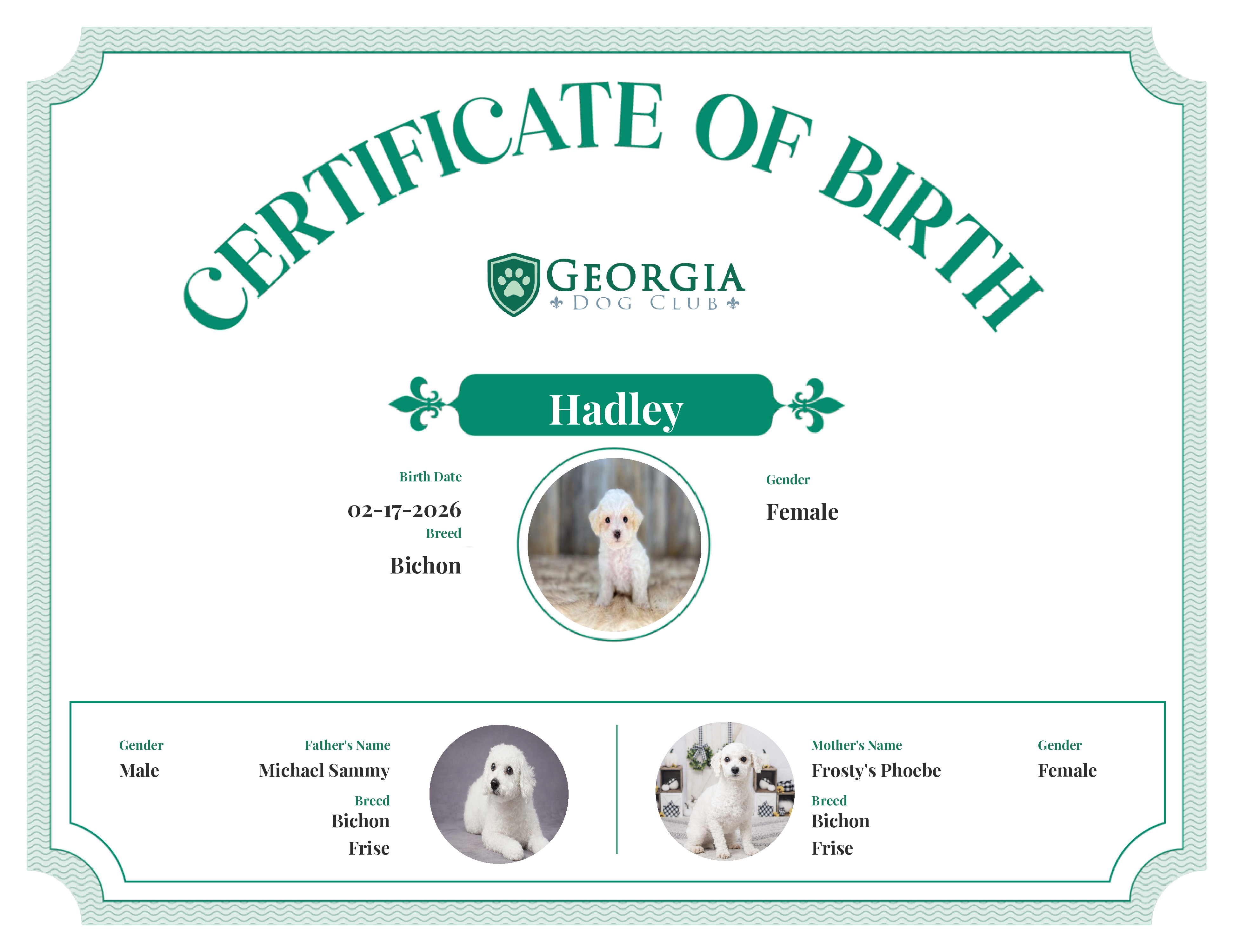 Hadley's Birth Certificate