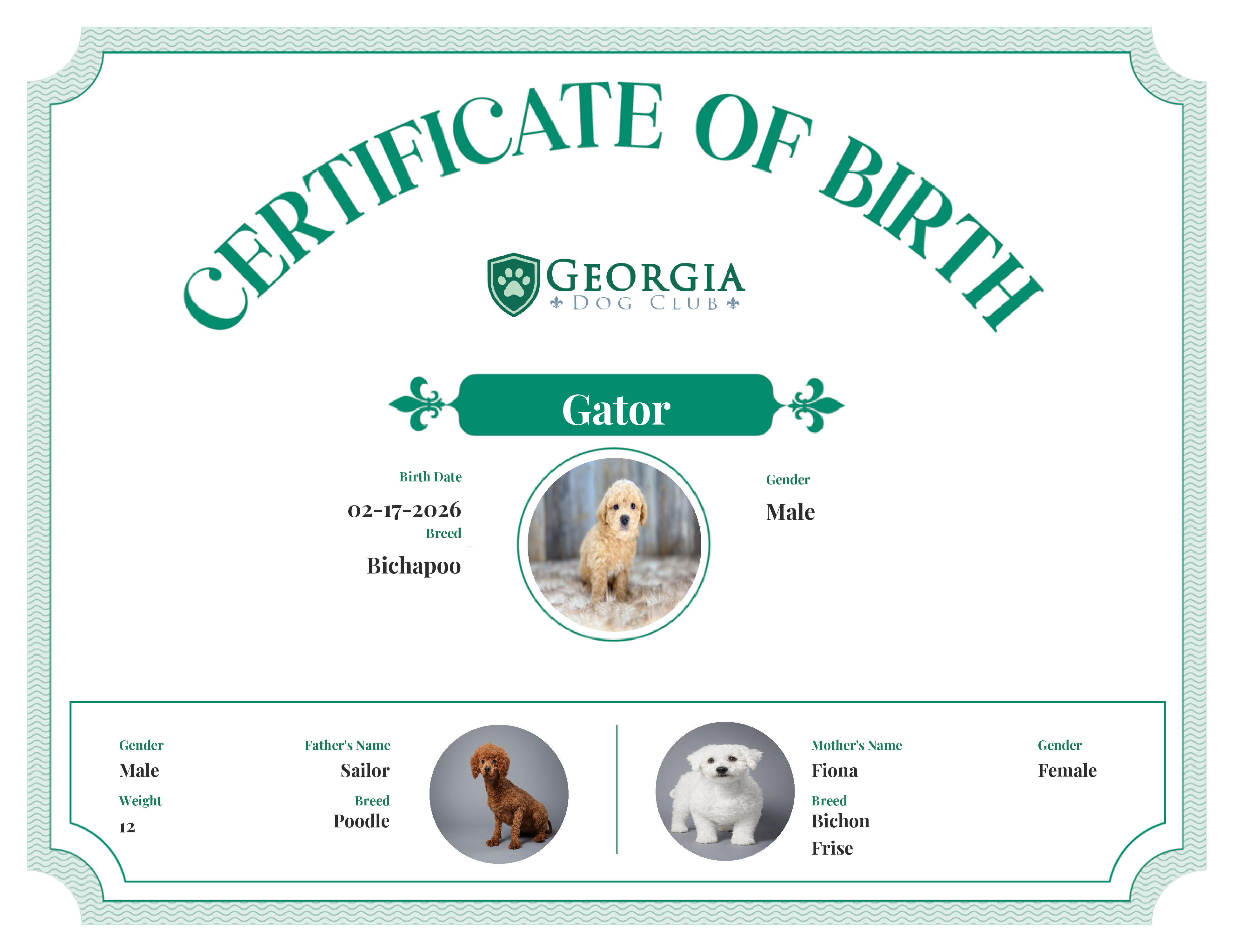 Gator's Birth Certificate