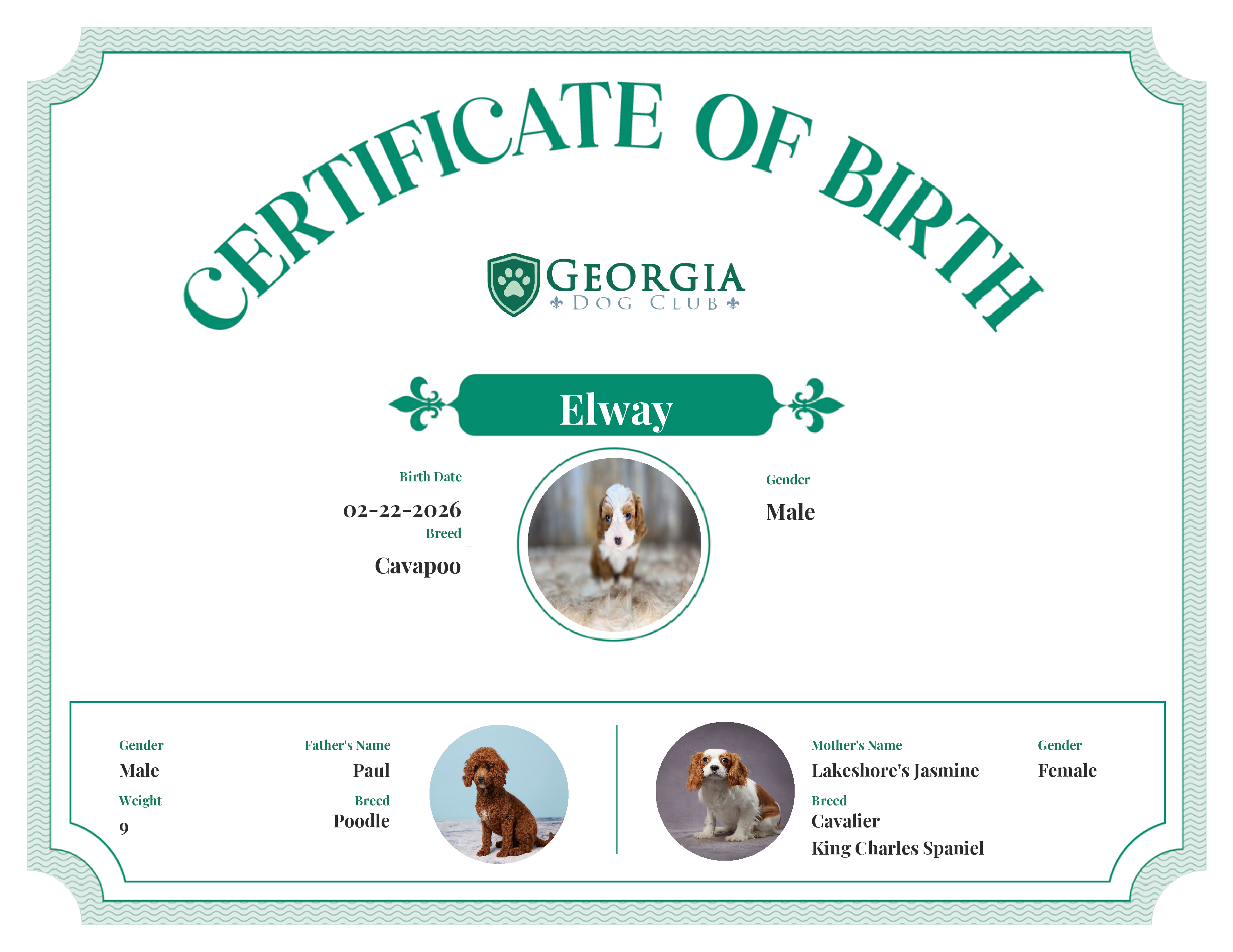 Elway's Birth Certificate