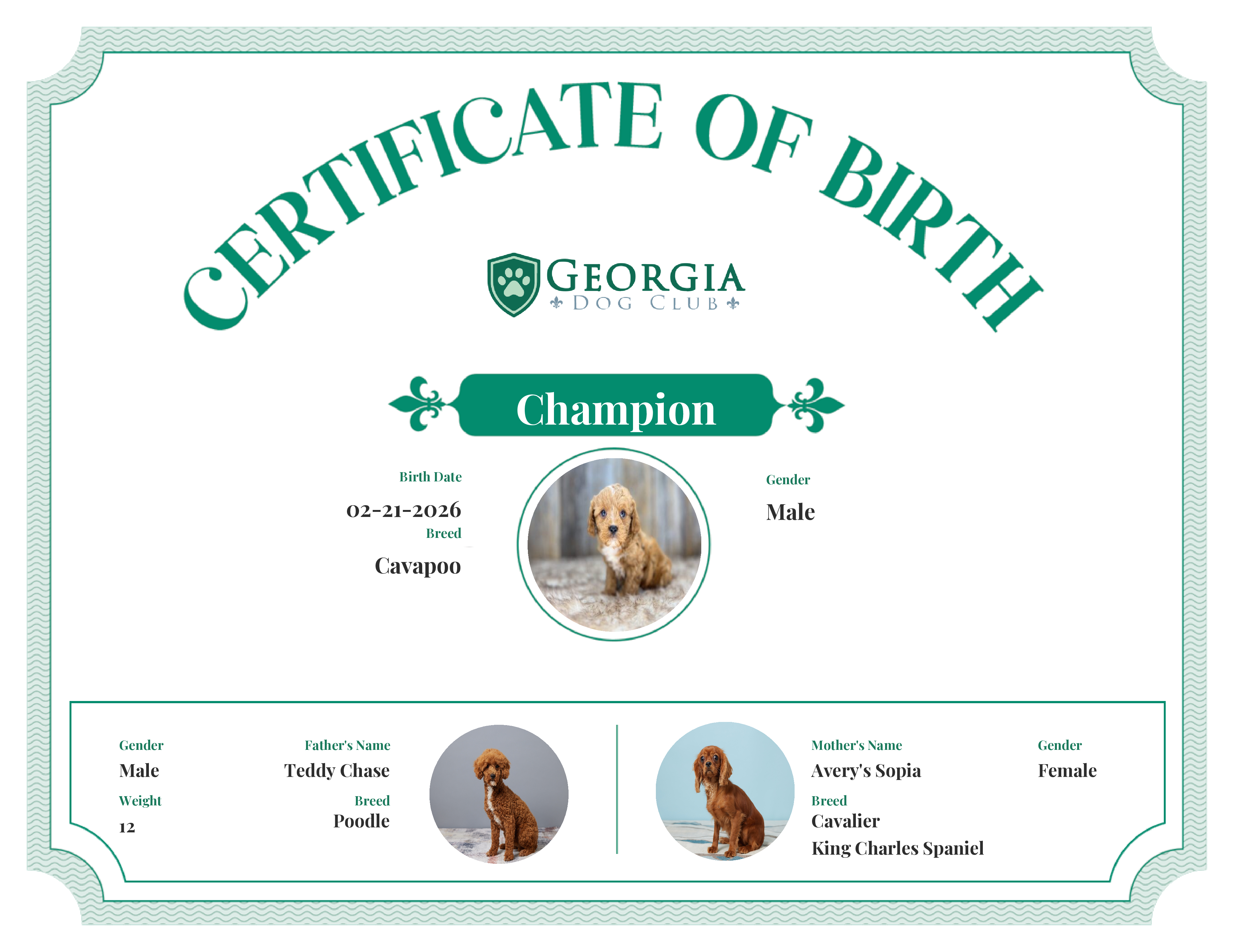 Champion's Birth Certificate