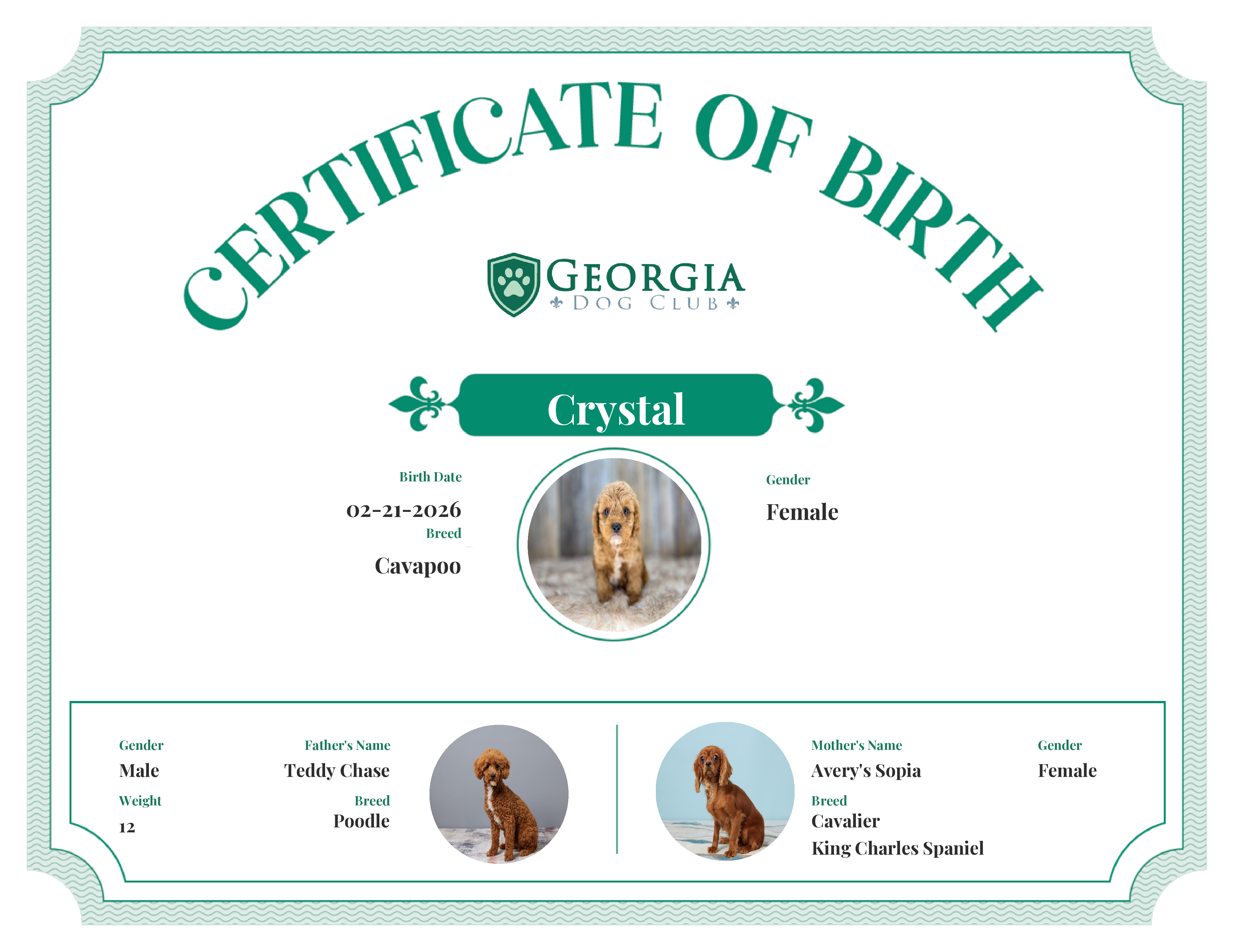 Crystal's Birth Certificate