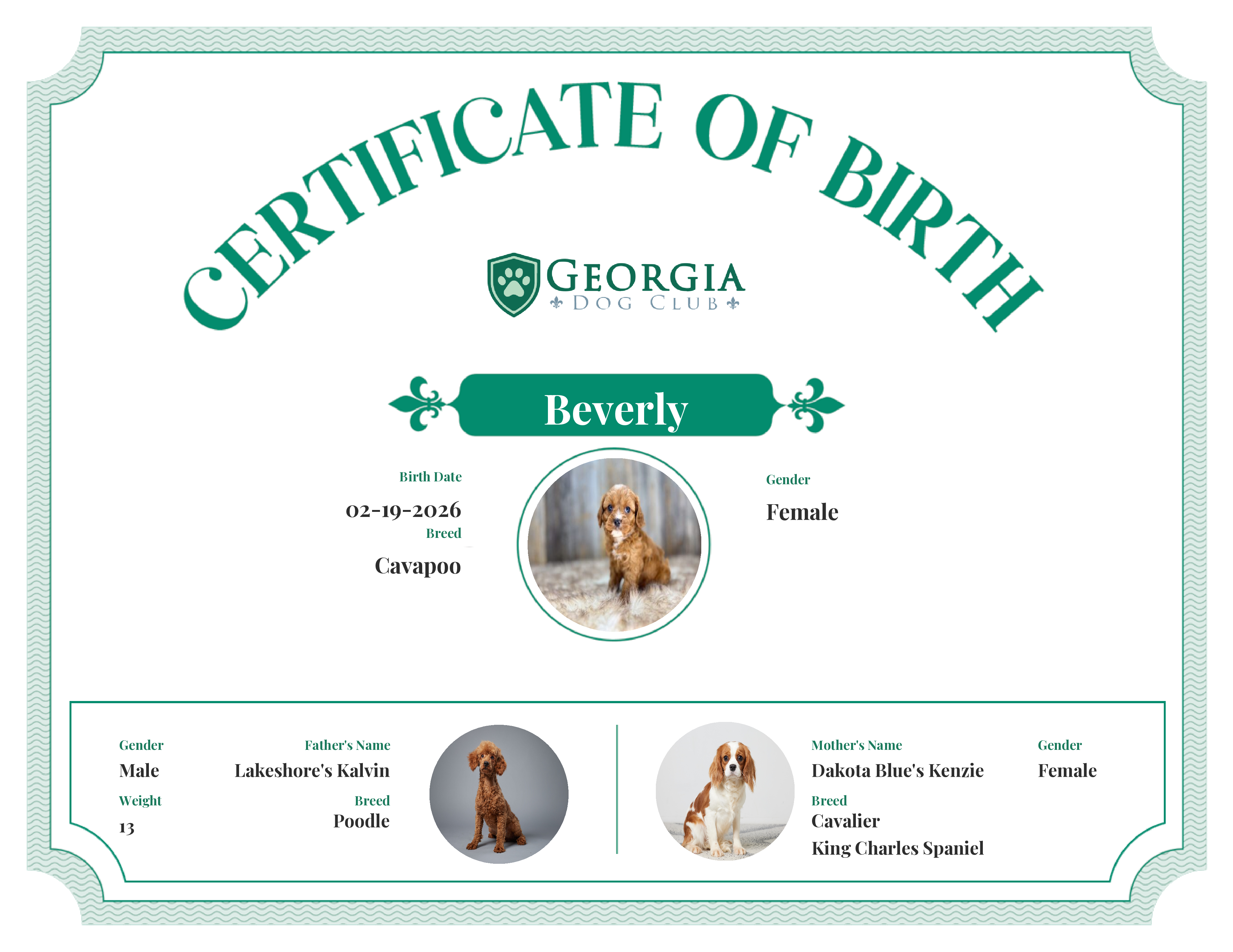 Beverly's Birth Certificate