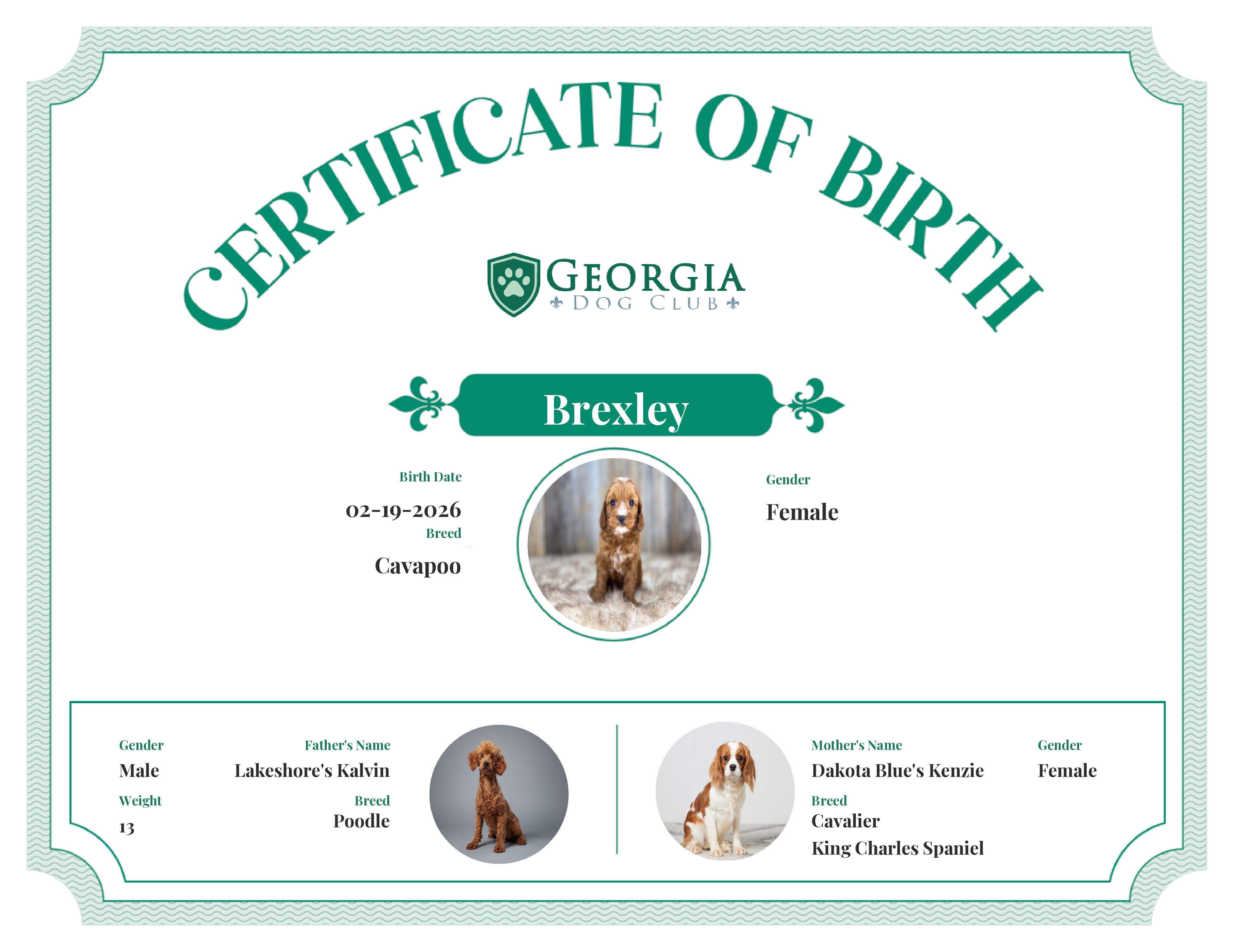 Brexley's Birth Certificate