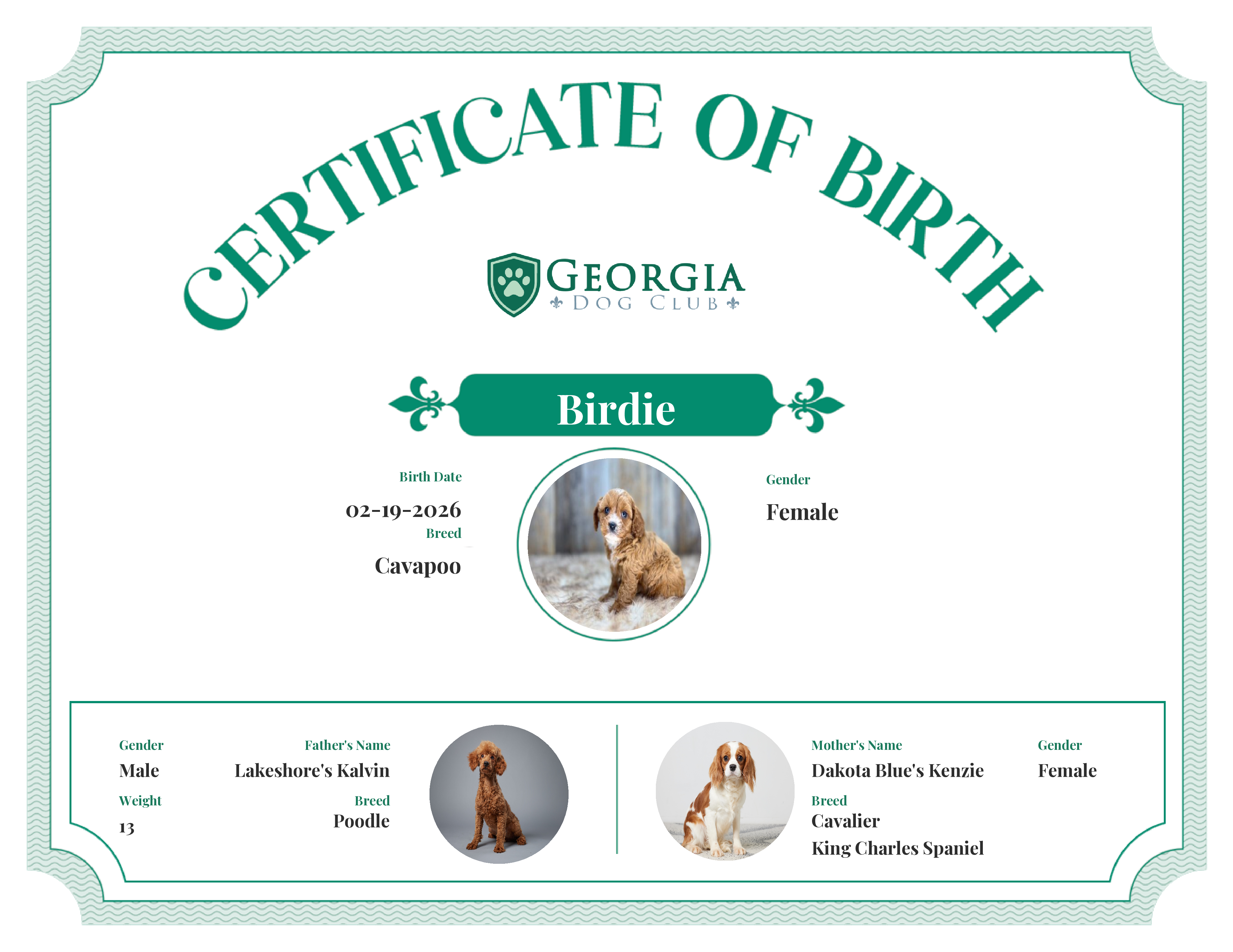 Birdie's Birth Certificate
