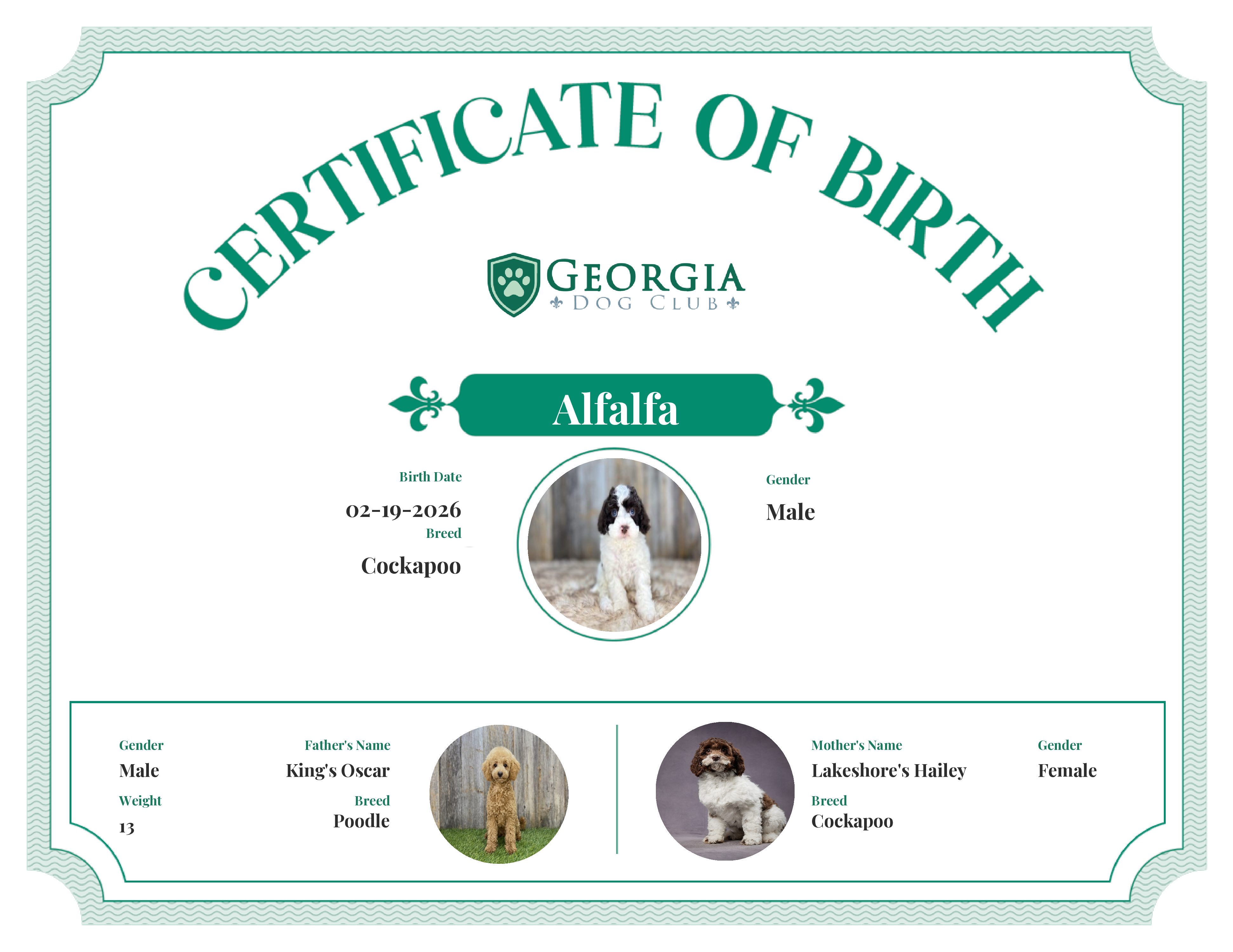 Alfalfa's Birth Certificate