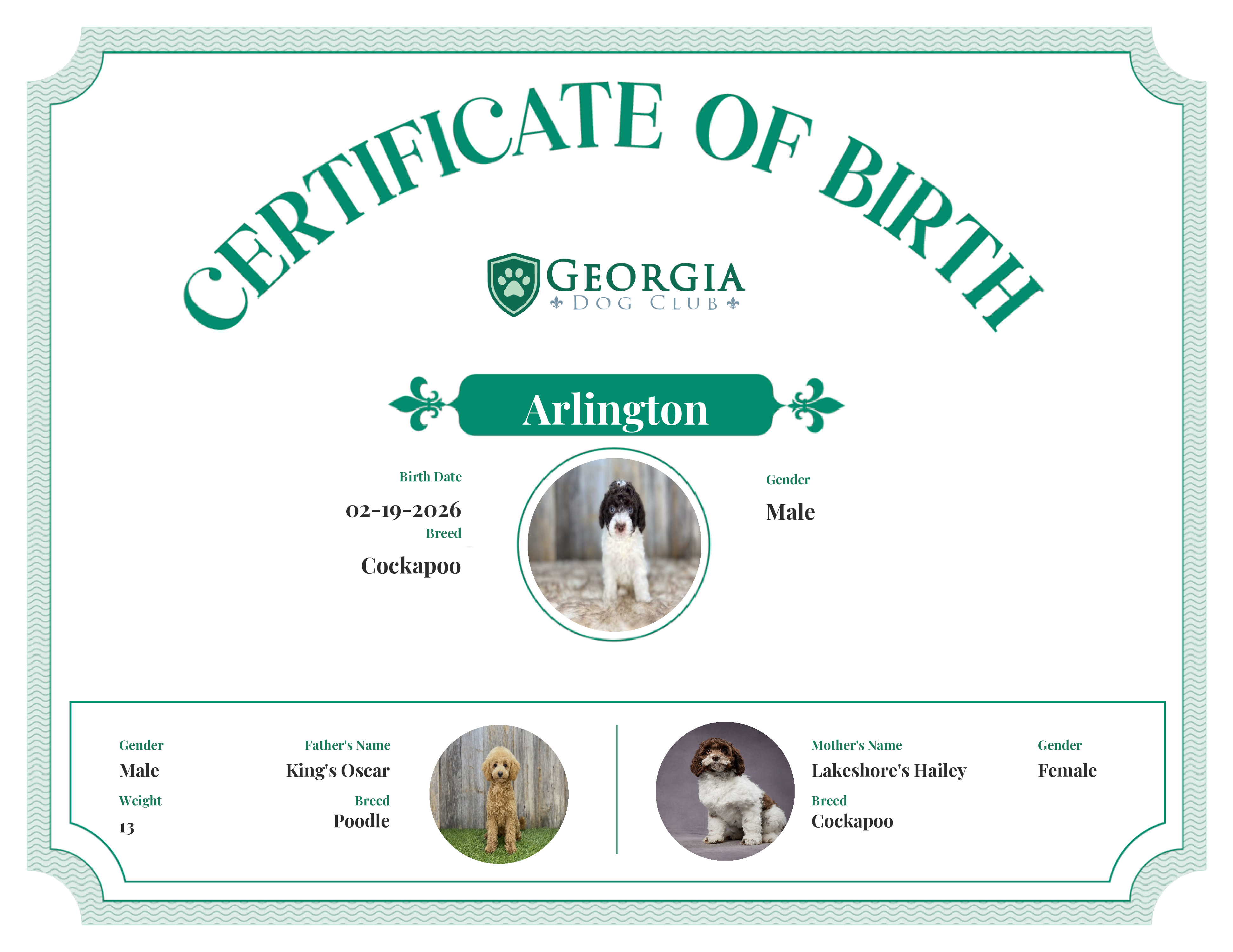 Arlington's Birth Certificate