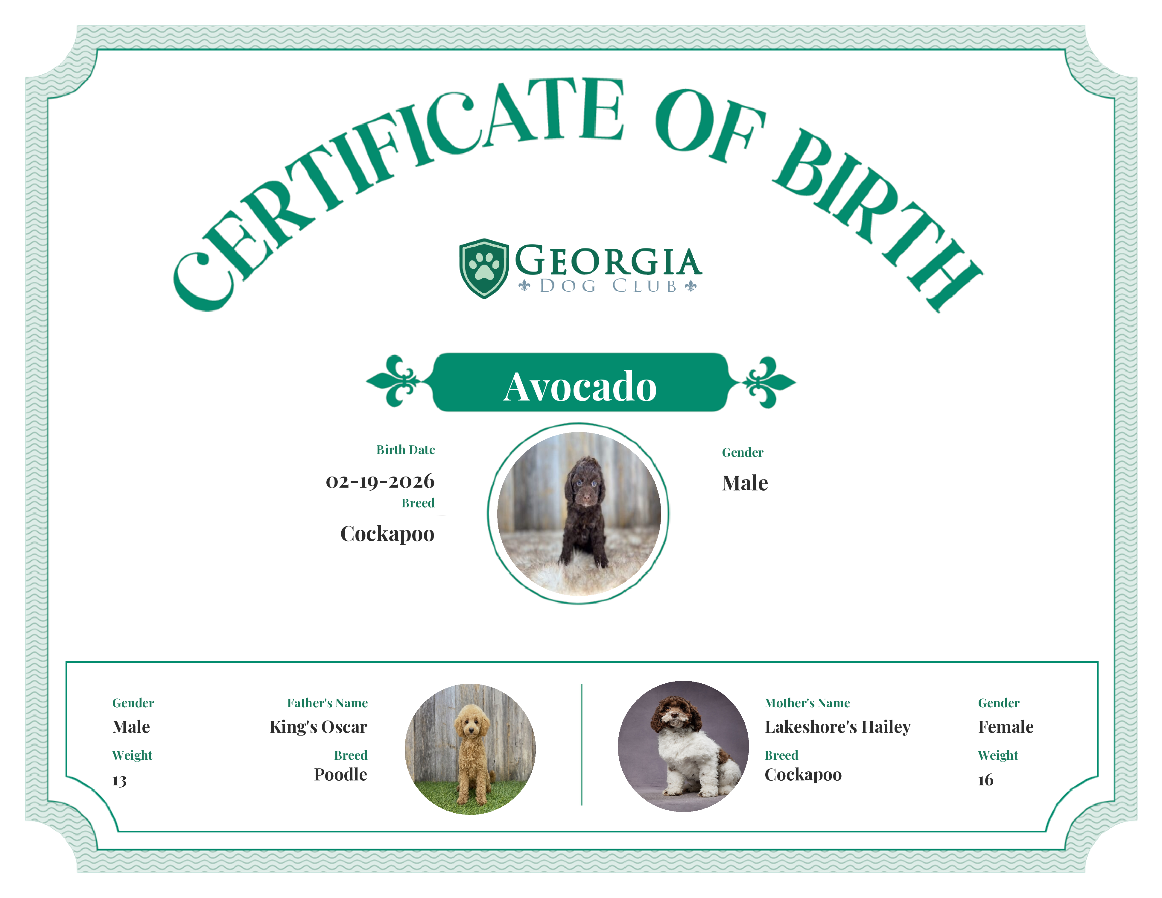 Avocado's Birth Certificate