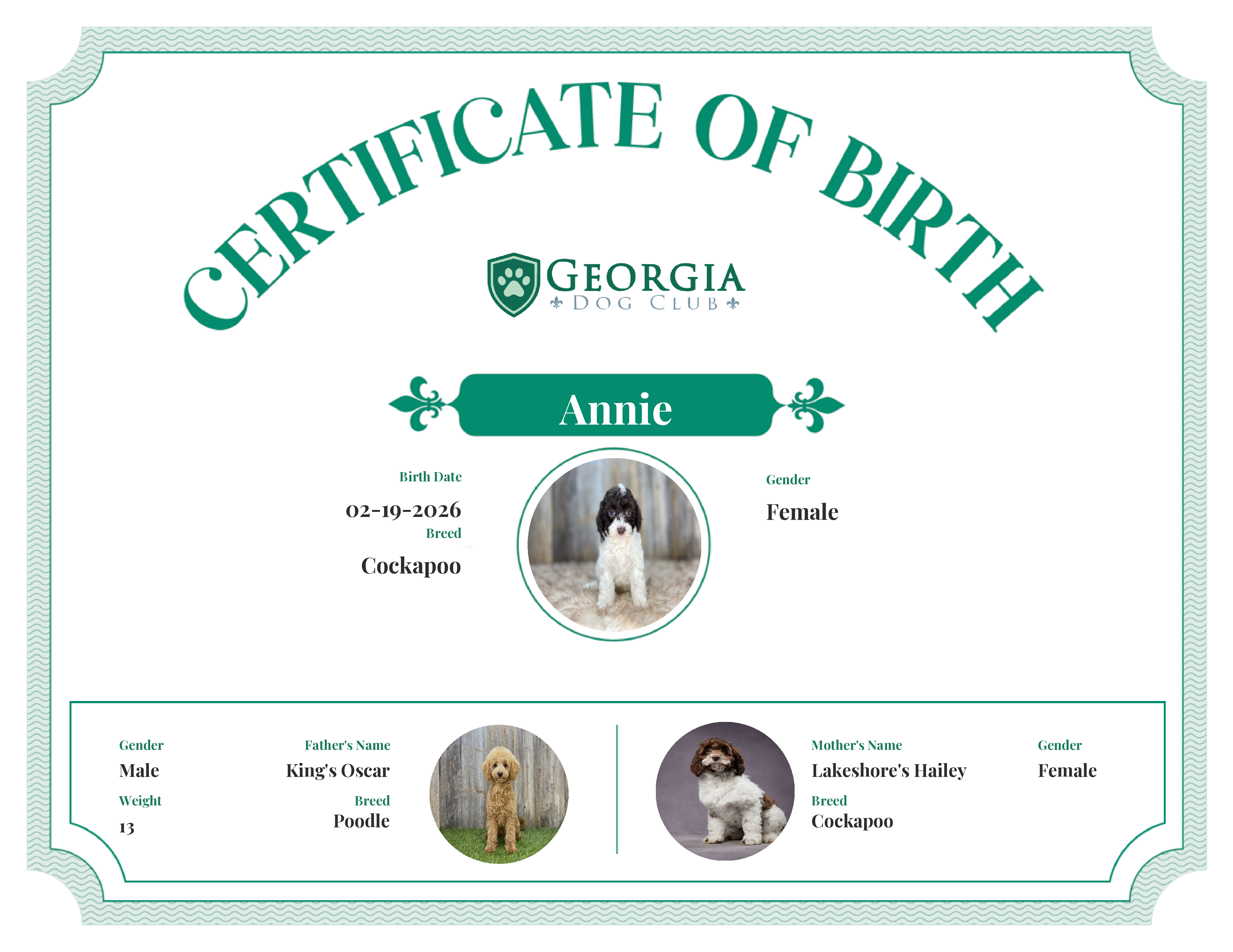 Annie's Birth Certificate
