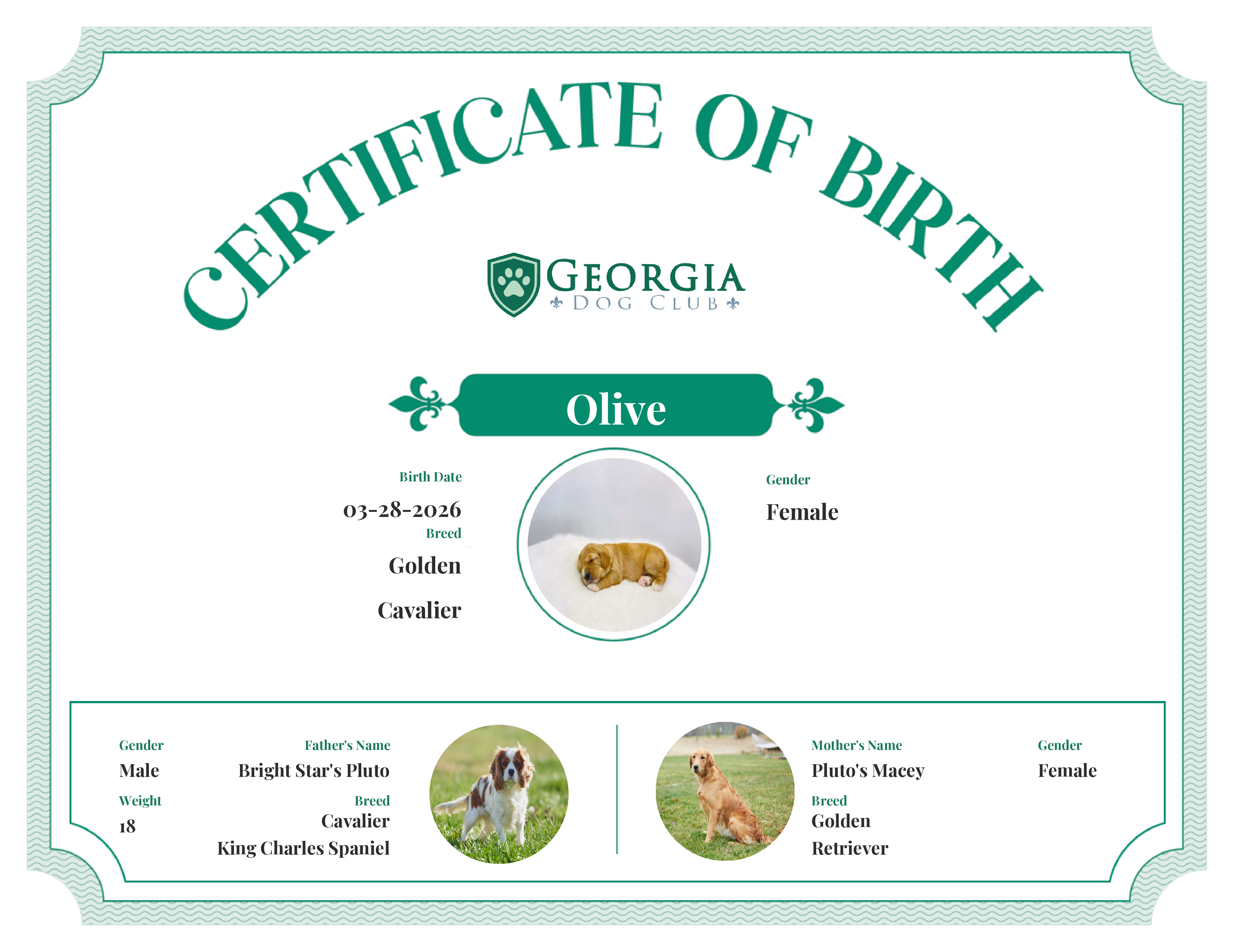 Olive's Birth Certificate