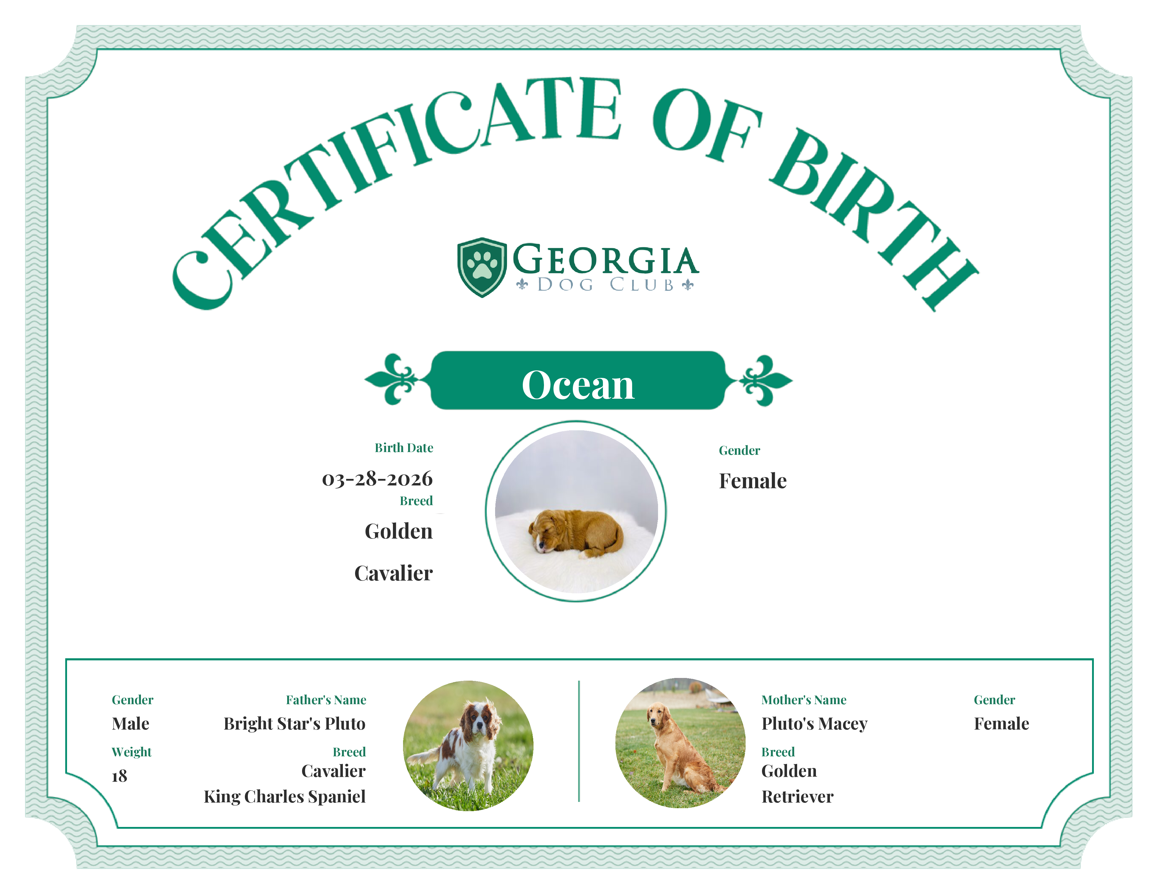 Ocean's Birth Certificate