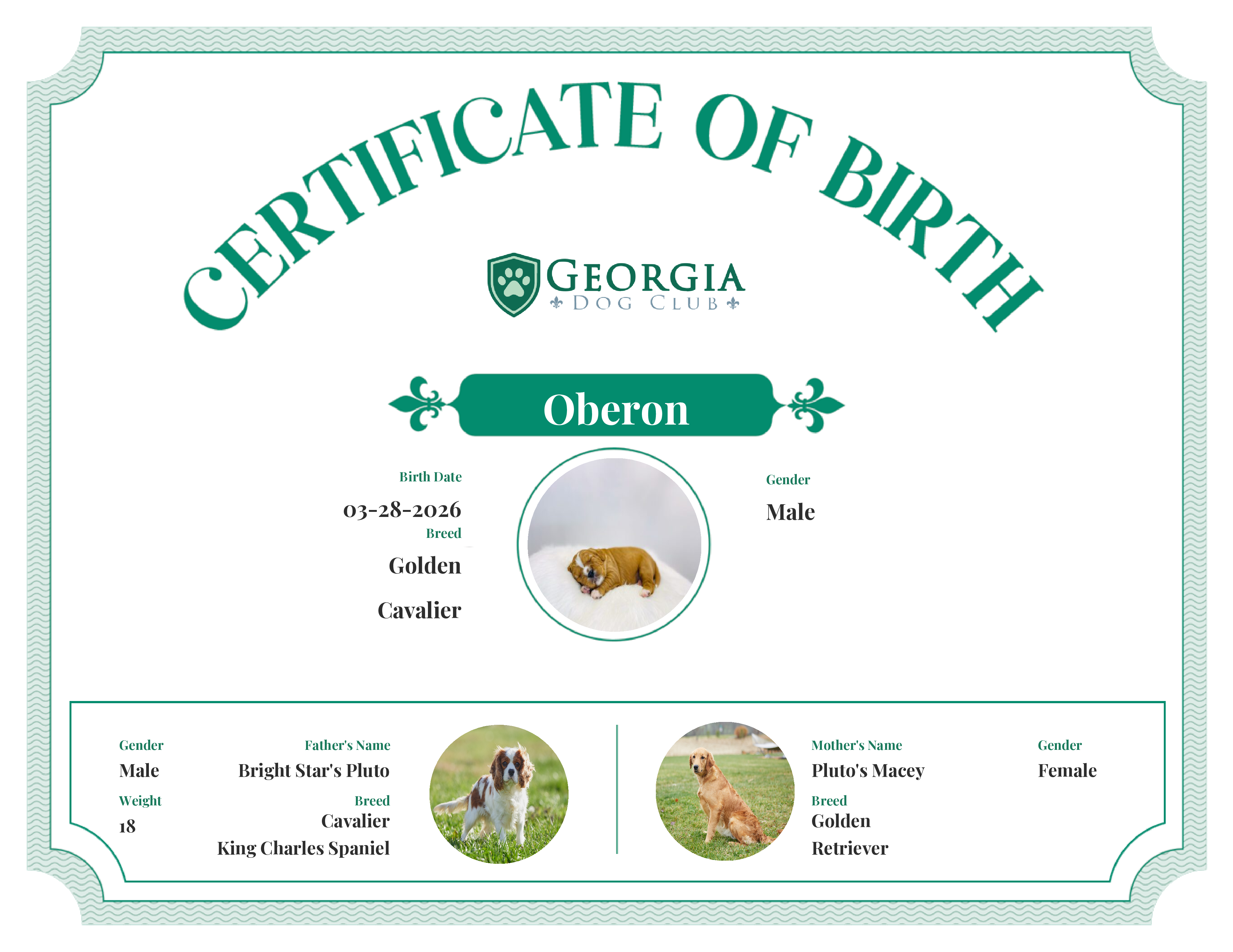 Oberon's Birth Certificate