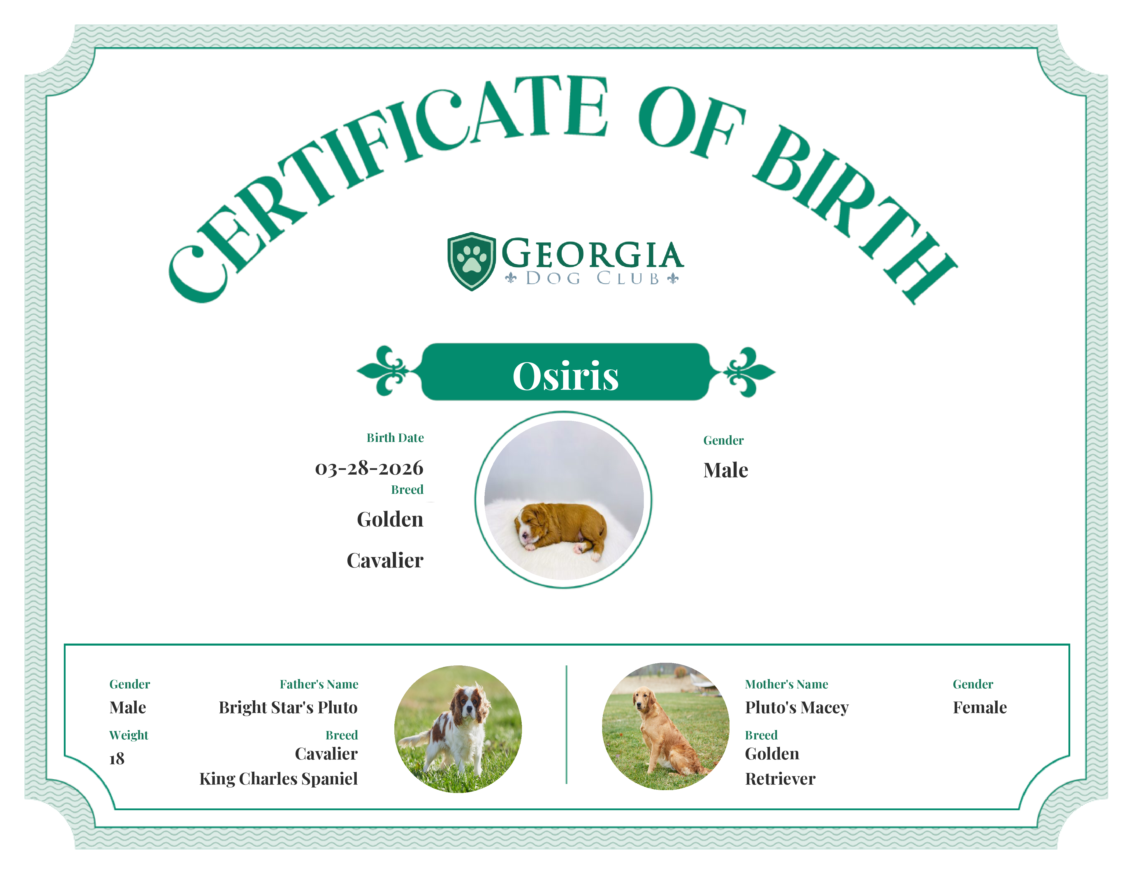 Osiris's Birth Certificate