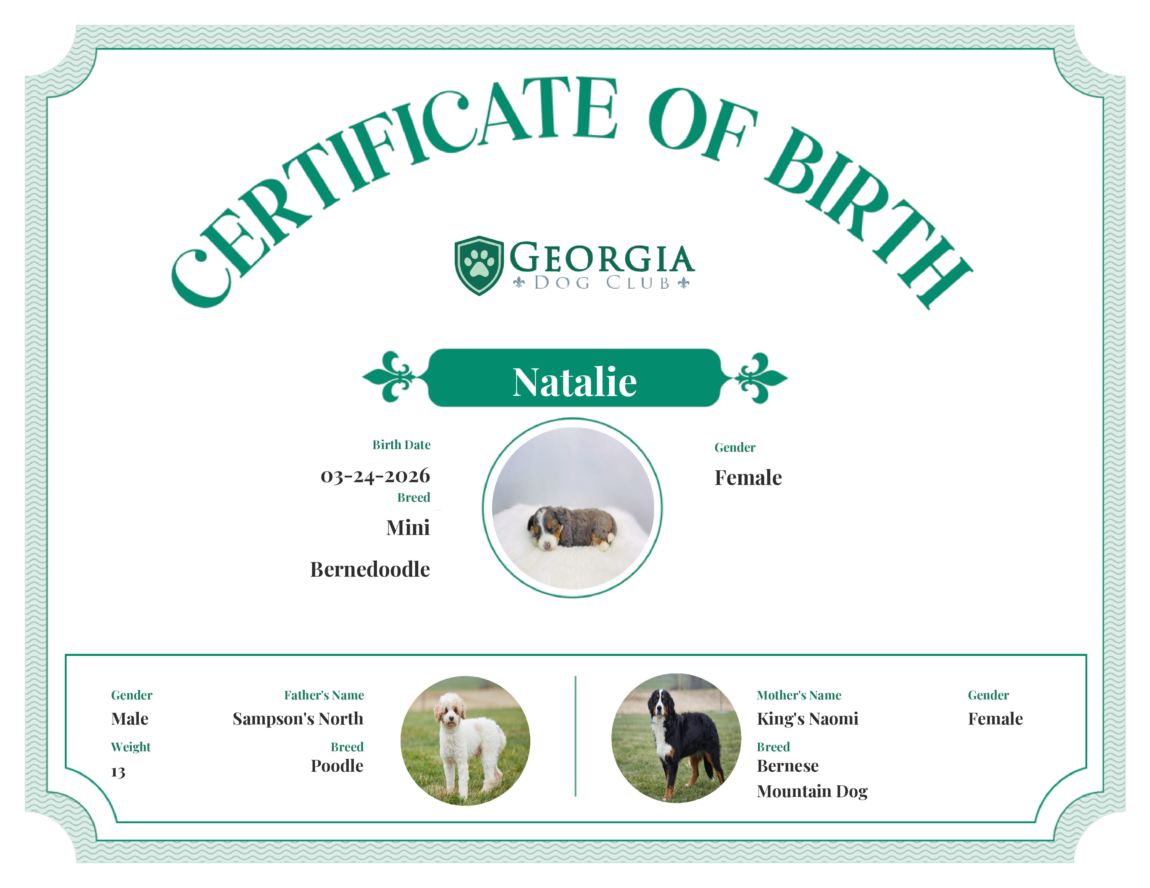 Natalie's Birth Certificate