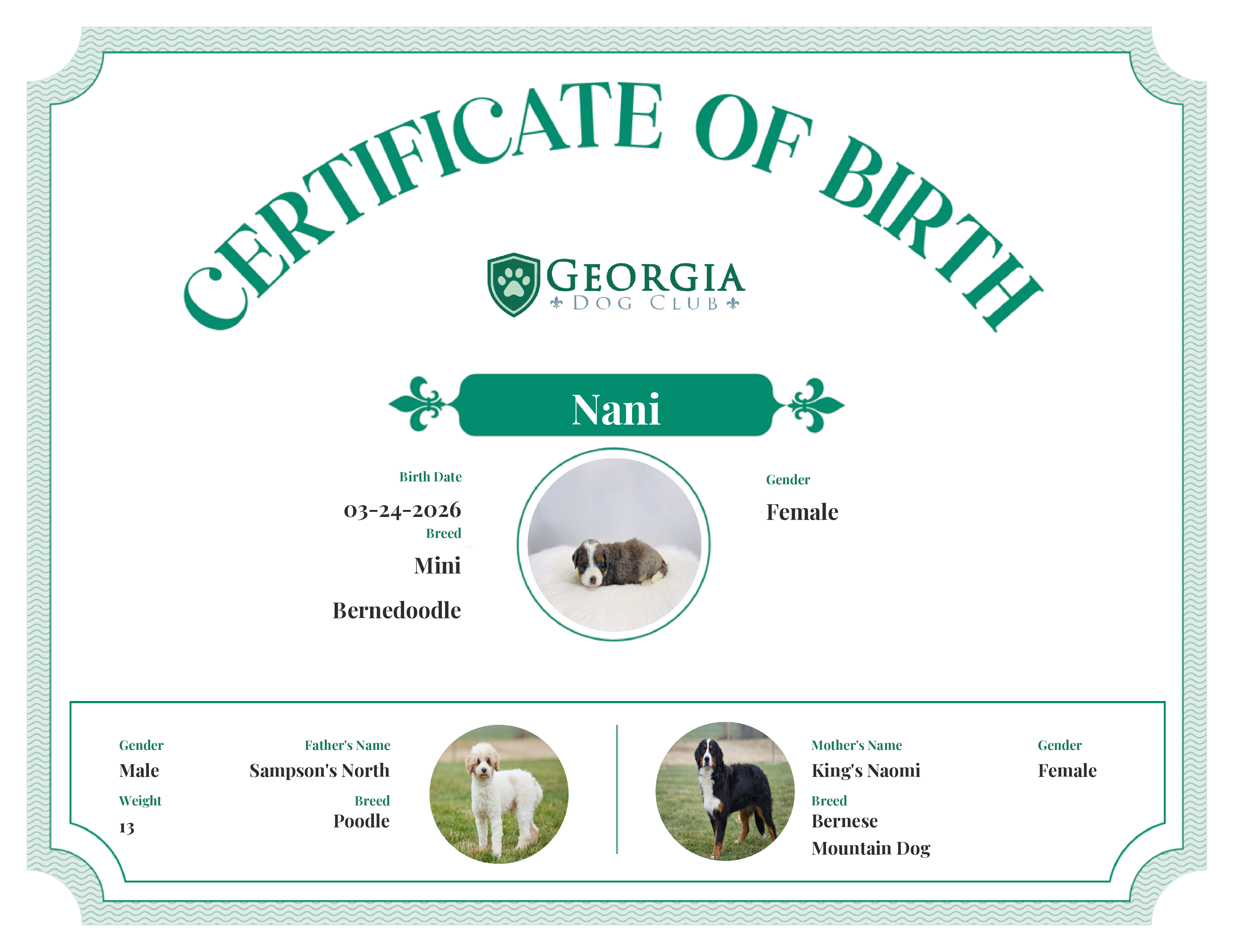 Nani's Birth Certificate