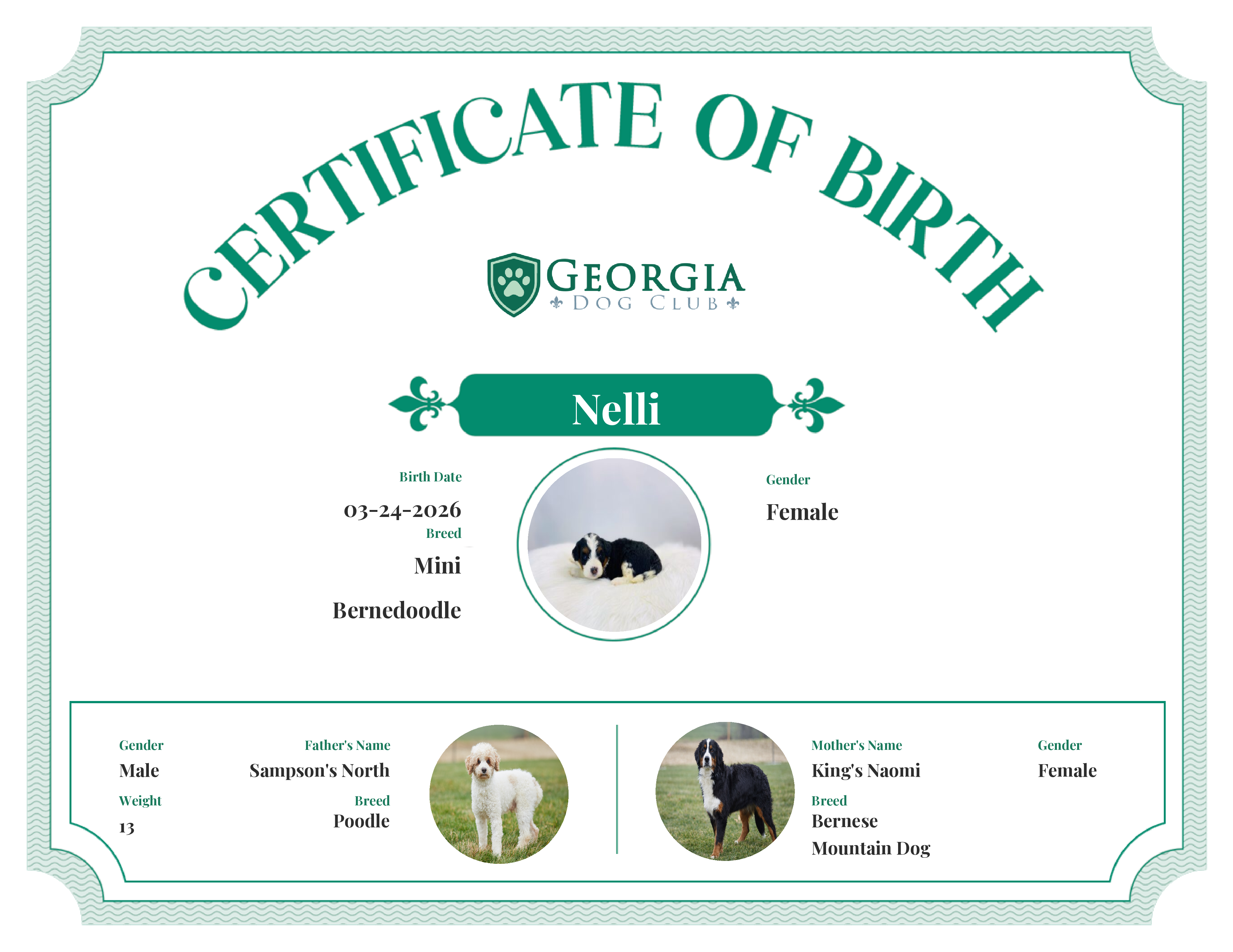 Nelli's Birth Certificate