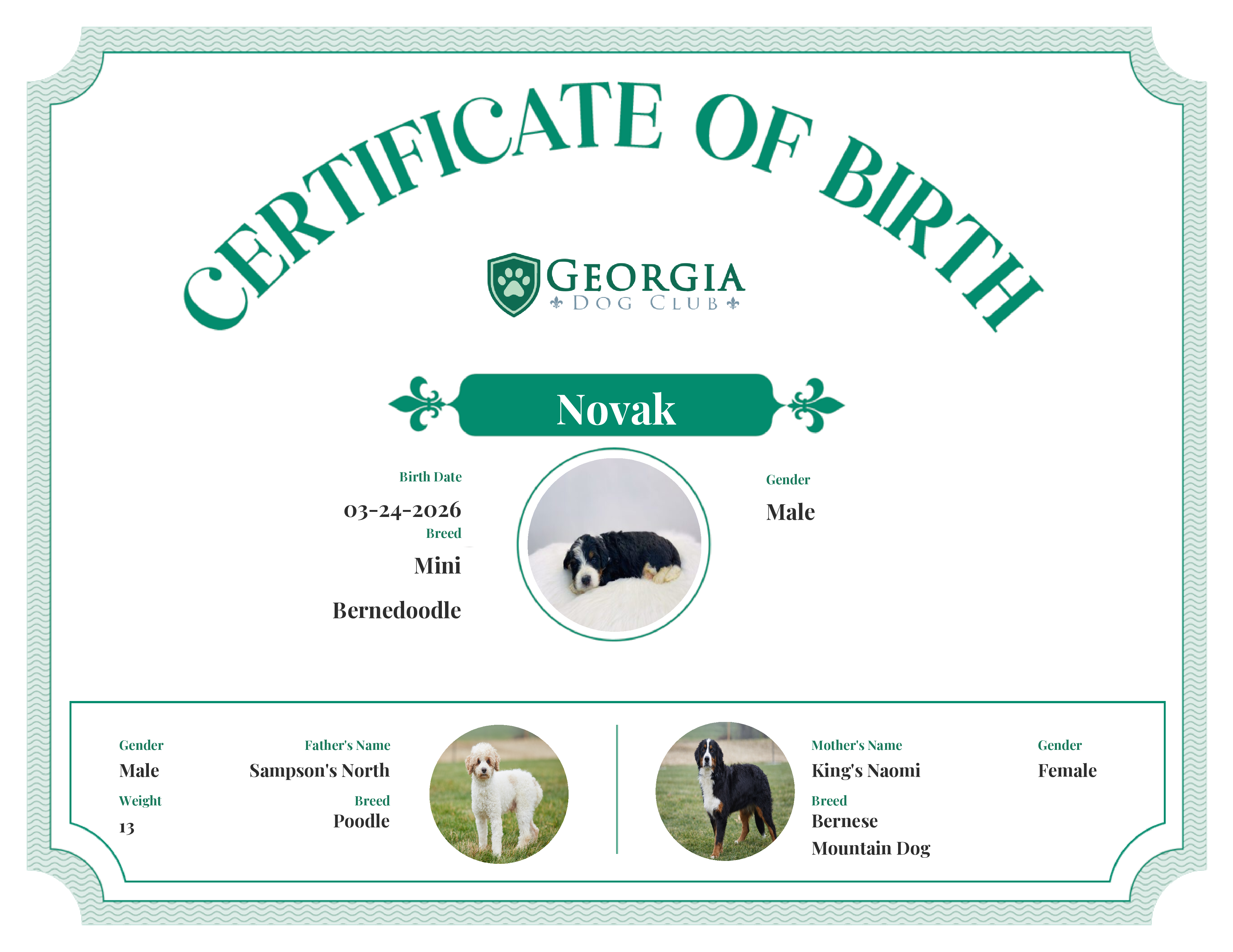 Novak's Birth Certificate