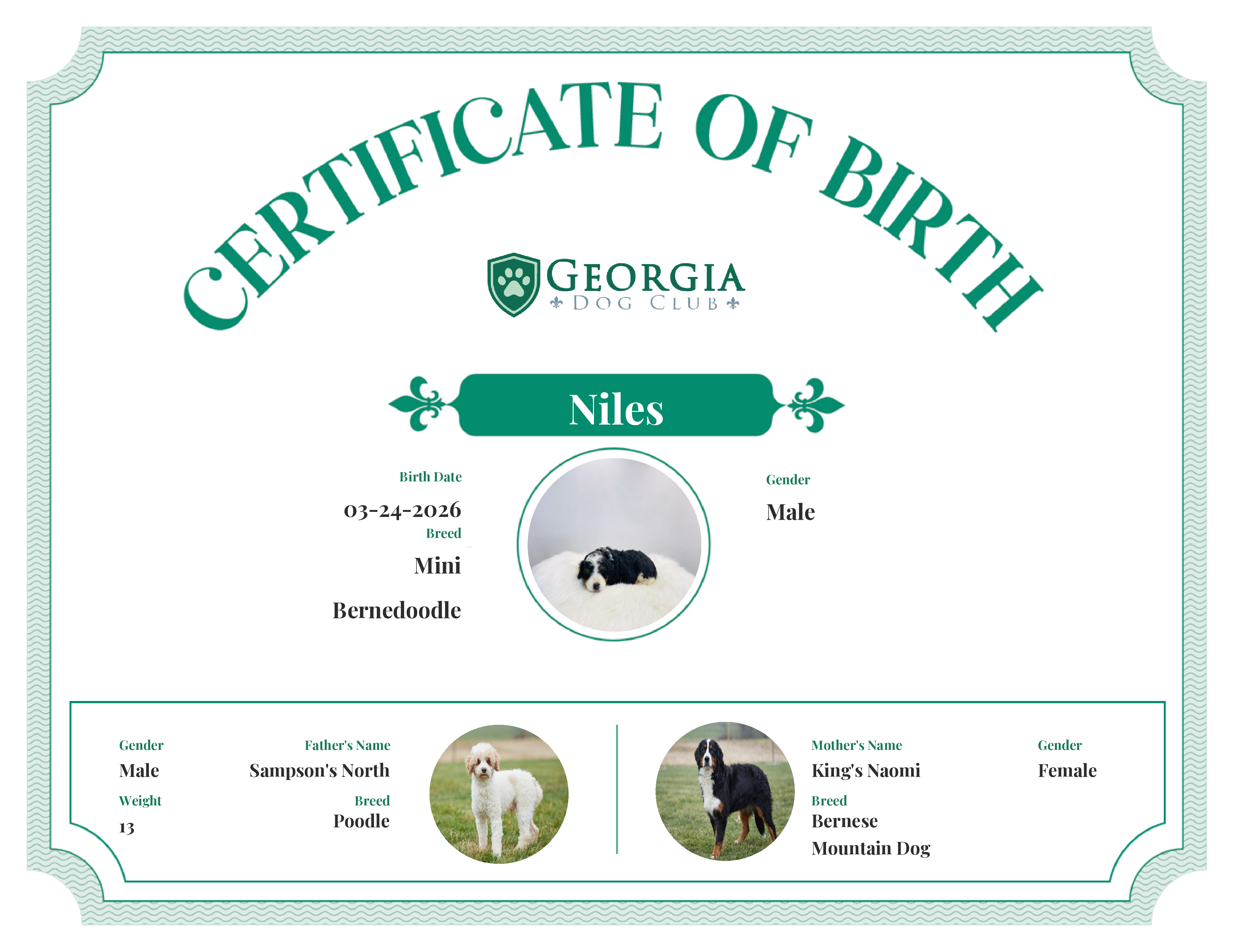 Niles's Birth Certificate