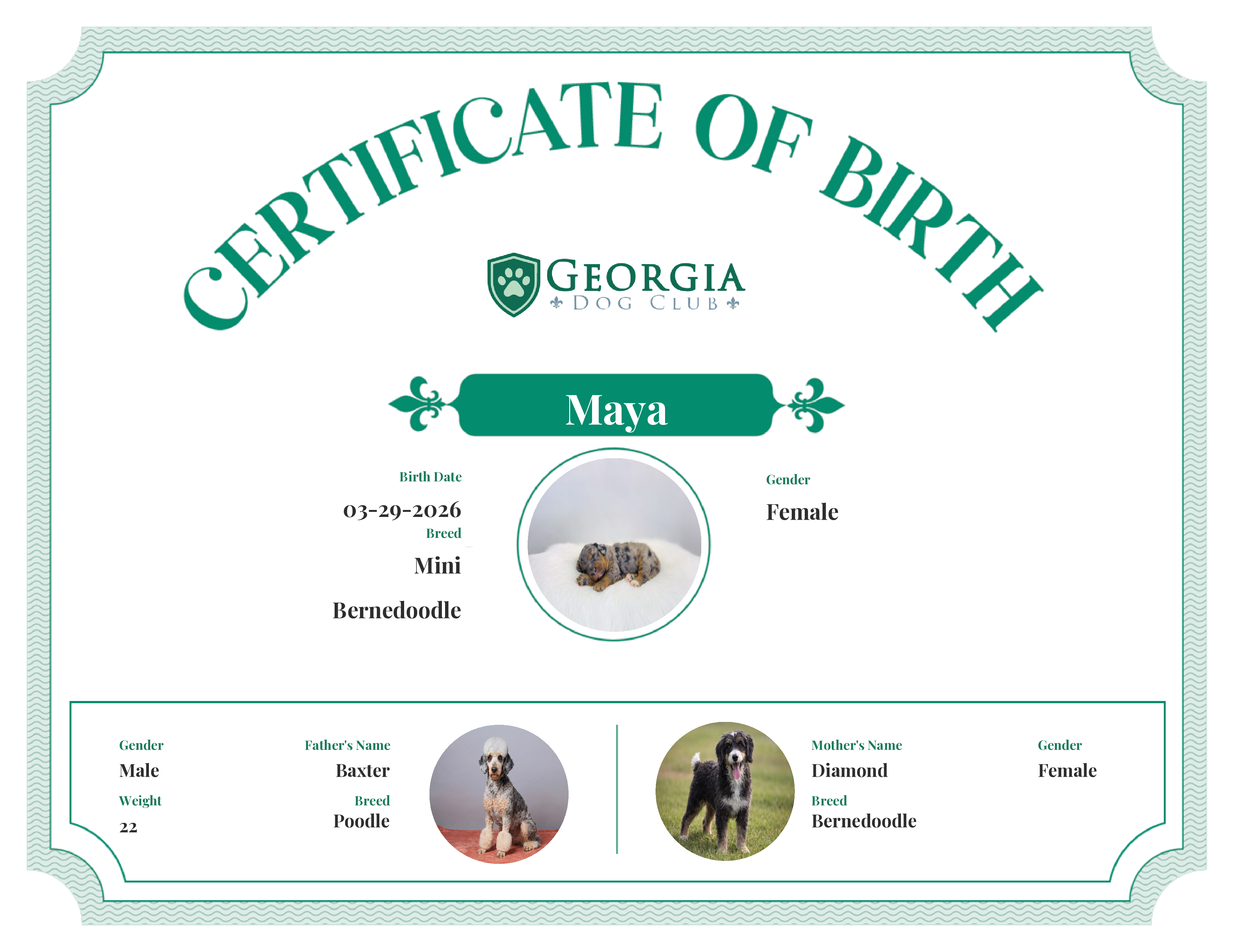 Maya's Birth Certificate