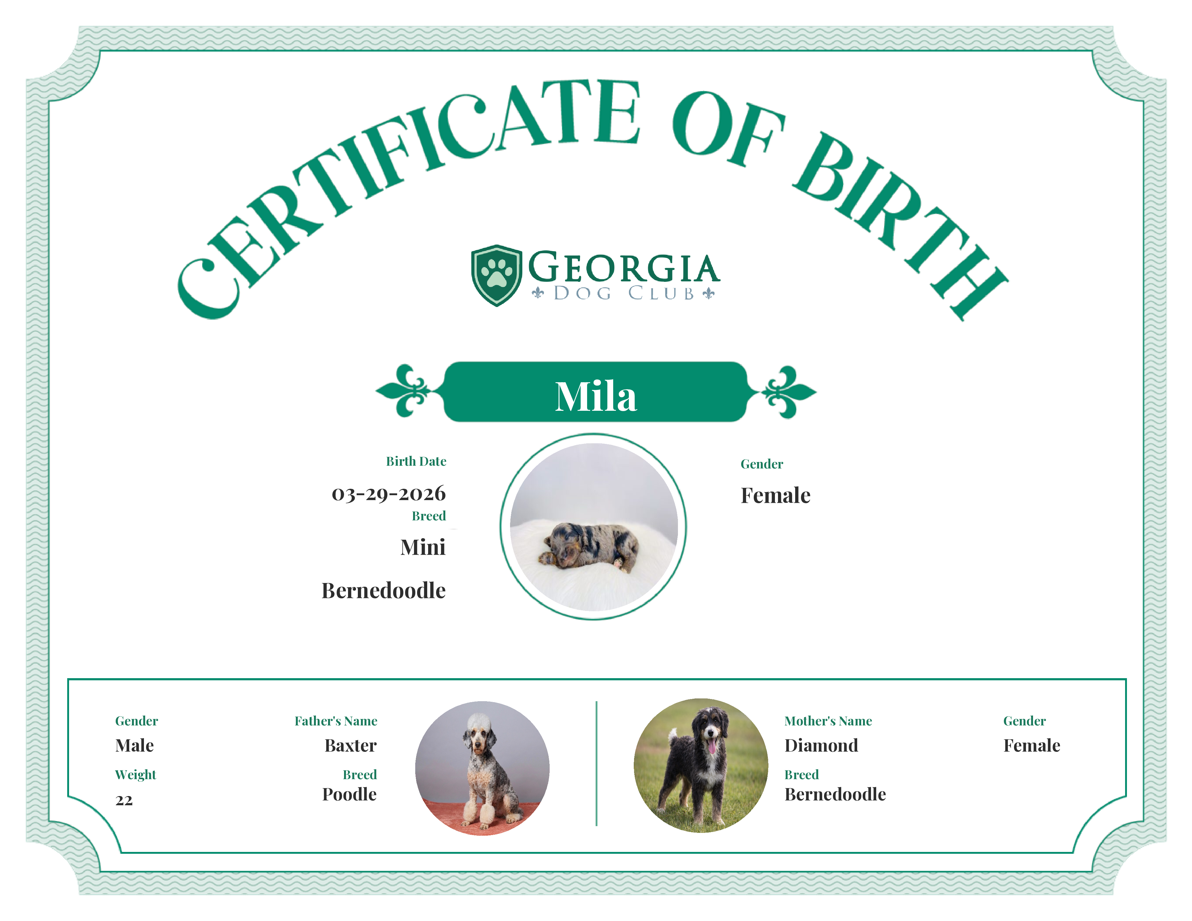 Mila's Birth Certificate