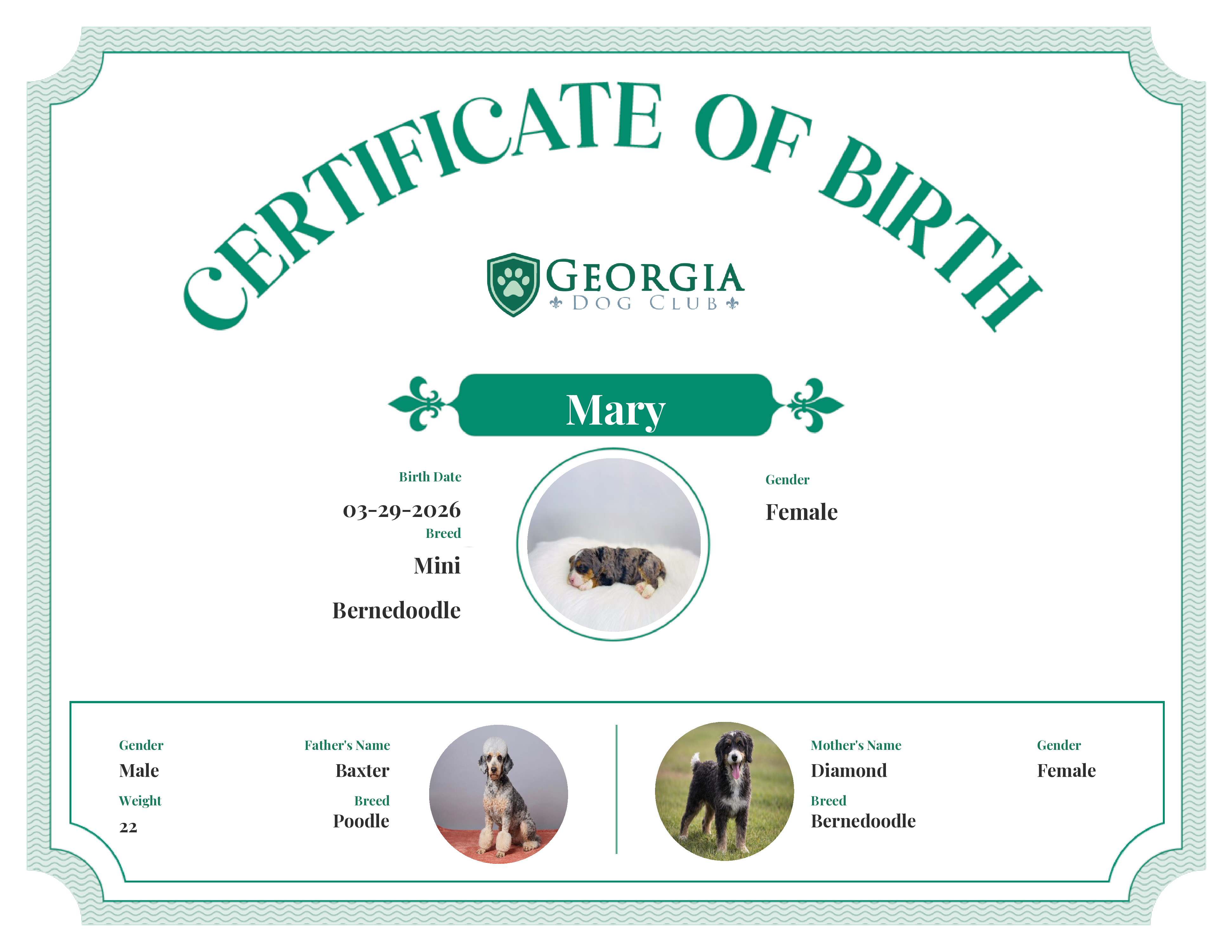 Mary's Birth Certificate