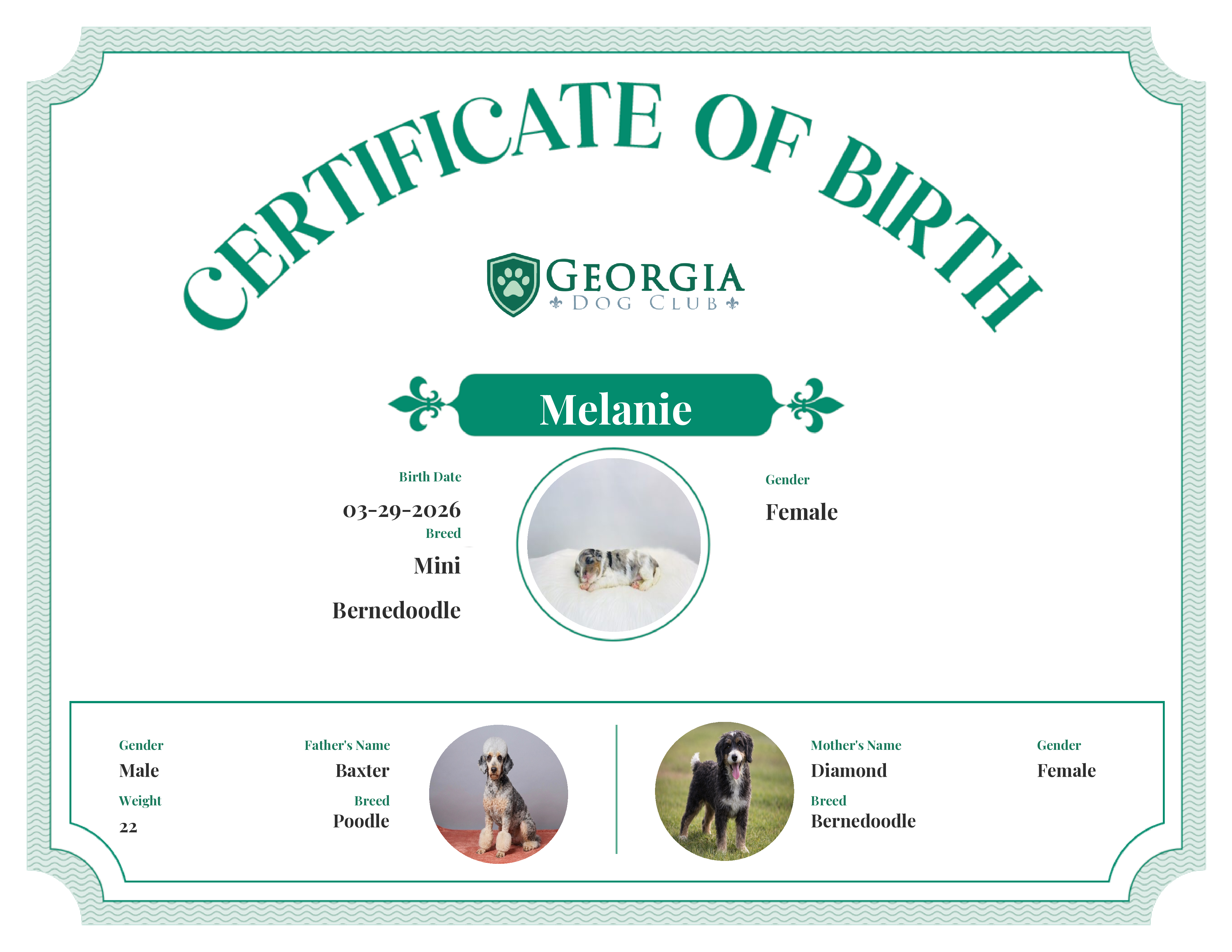 Melanie's Birth Certificate