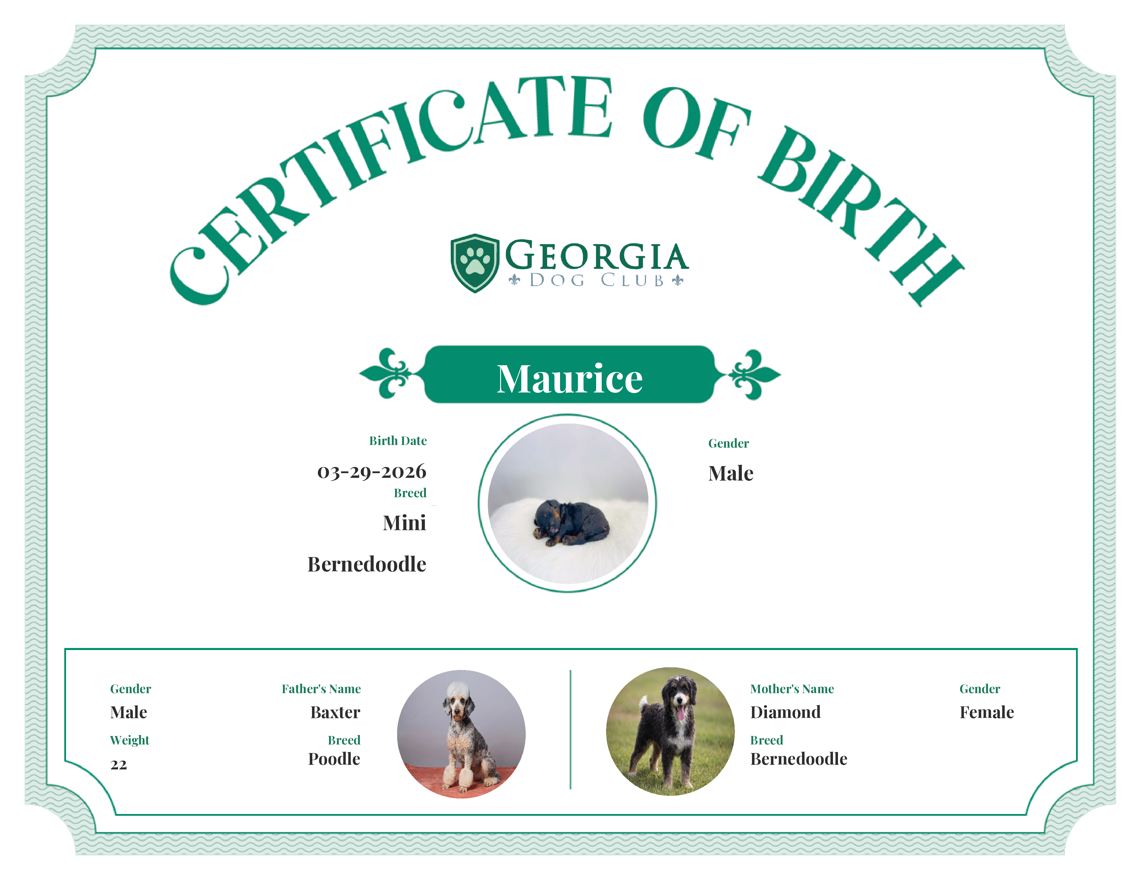 Maurice's Birth Certificate