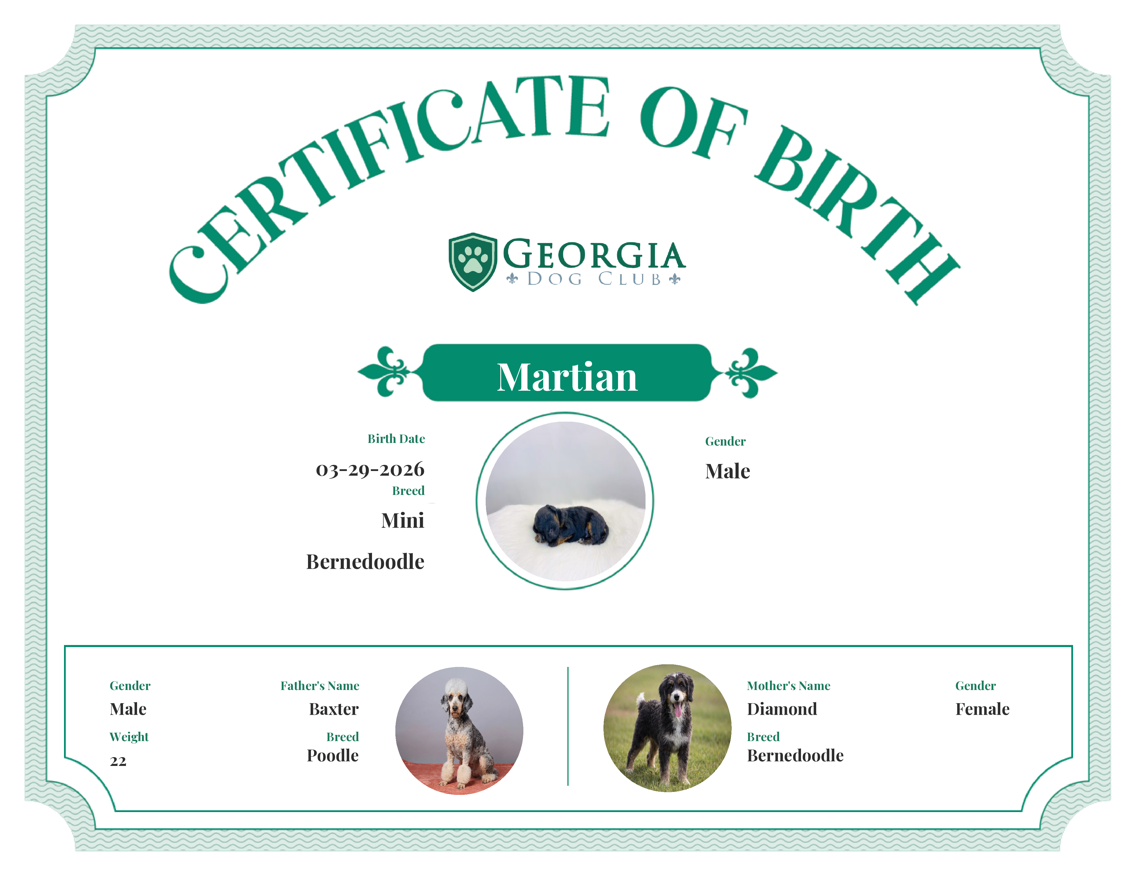 Martian's Birth Certificate