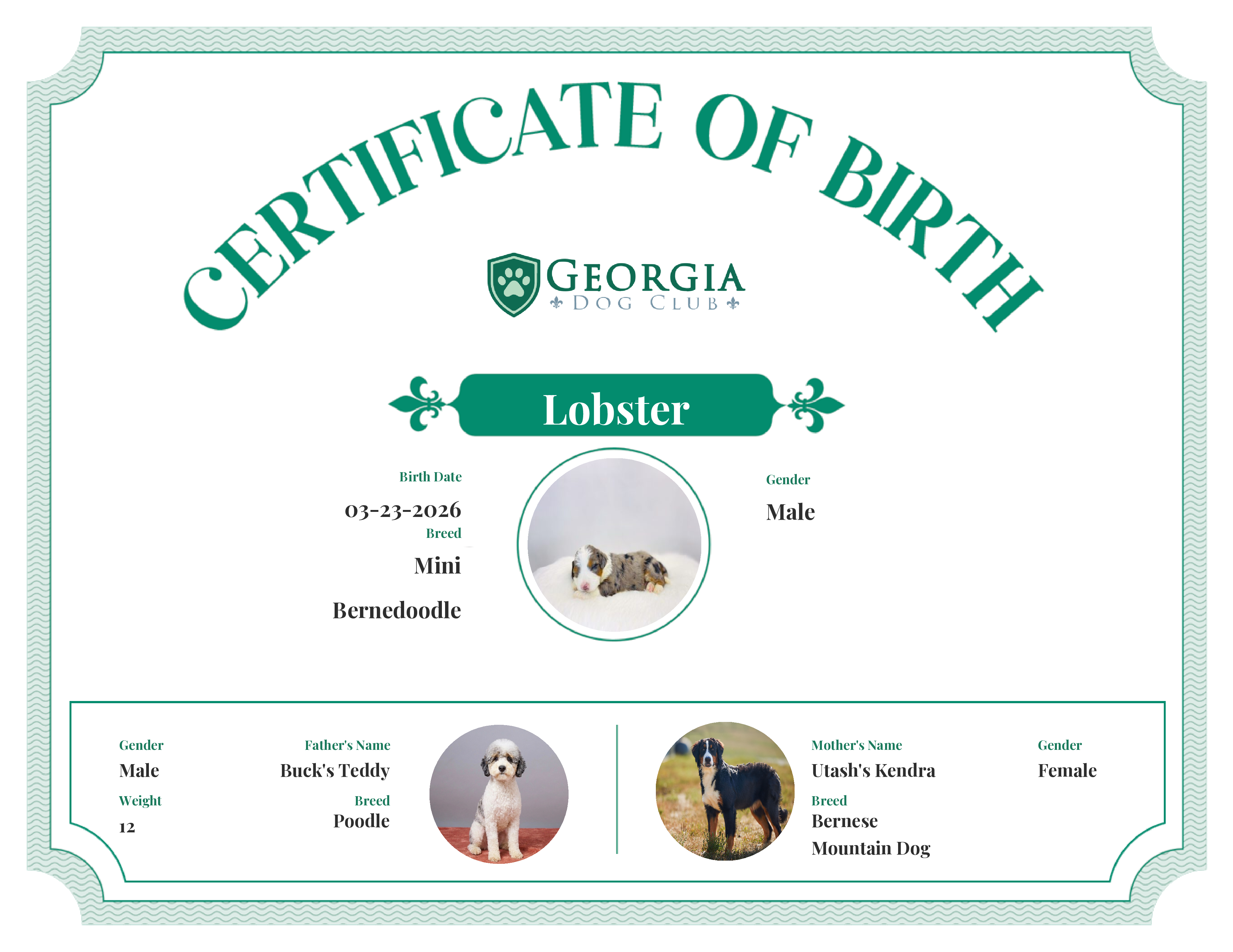 Lobster's Birth Certificate