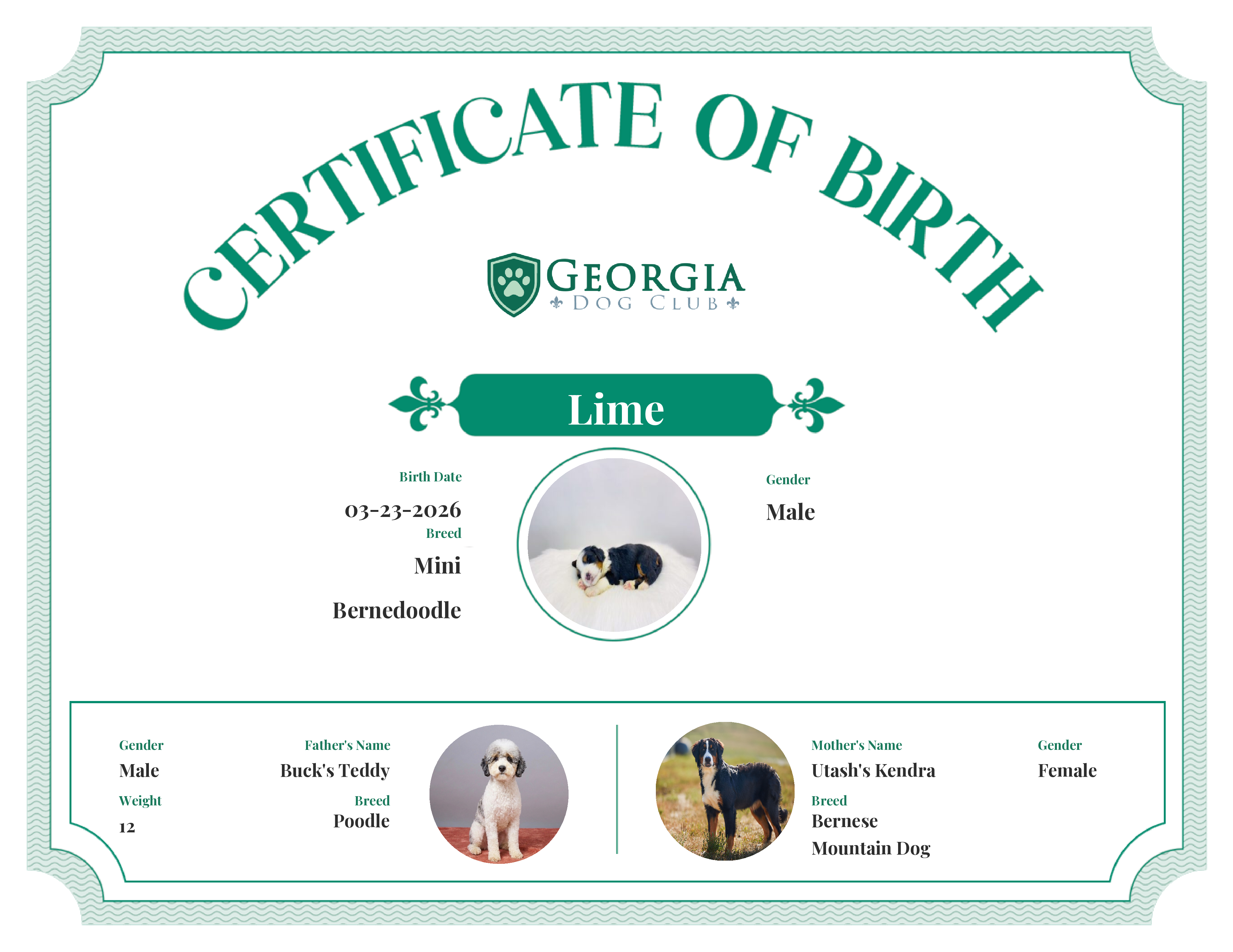 Lime's Birth Certificate