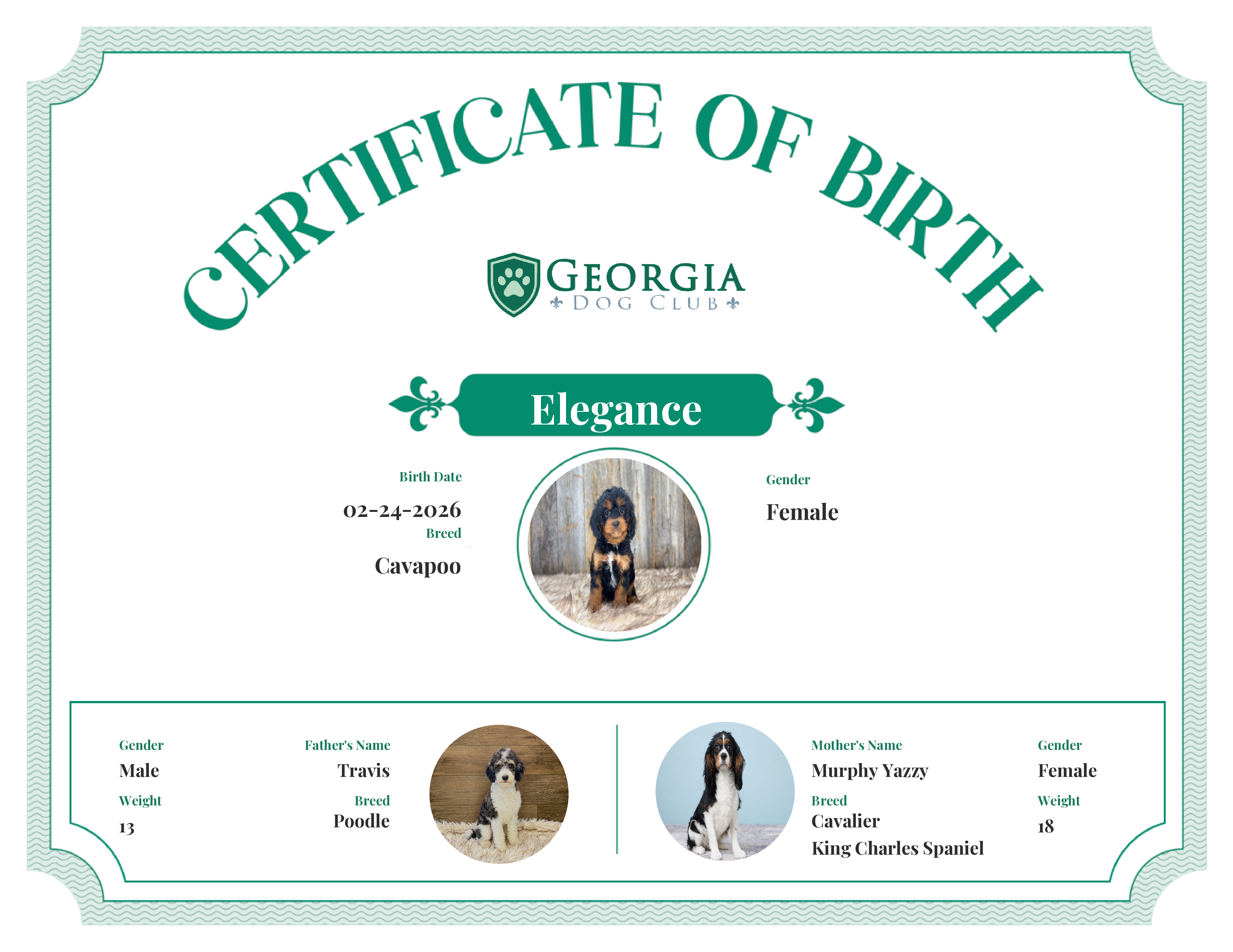 Elegance's Birth Certificate