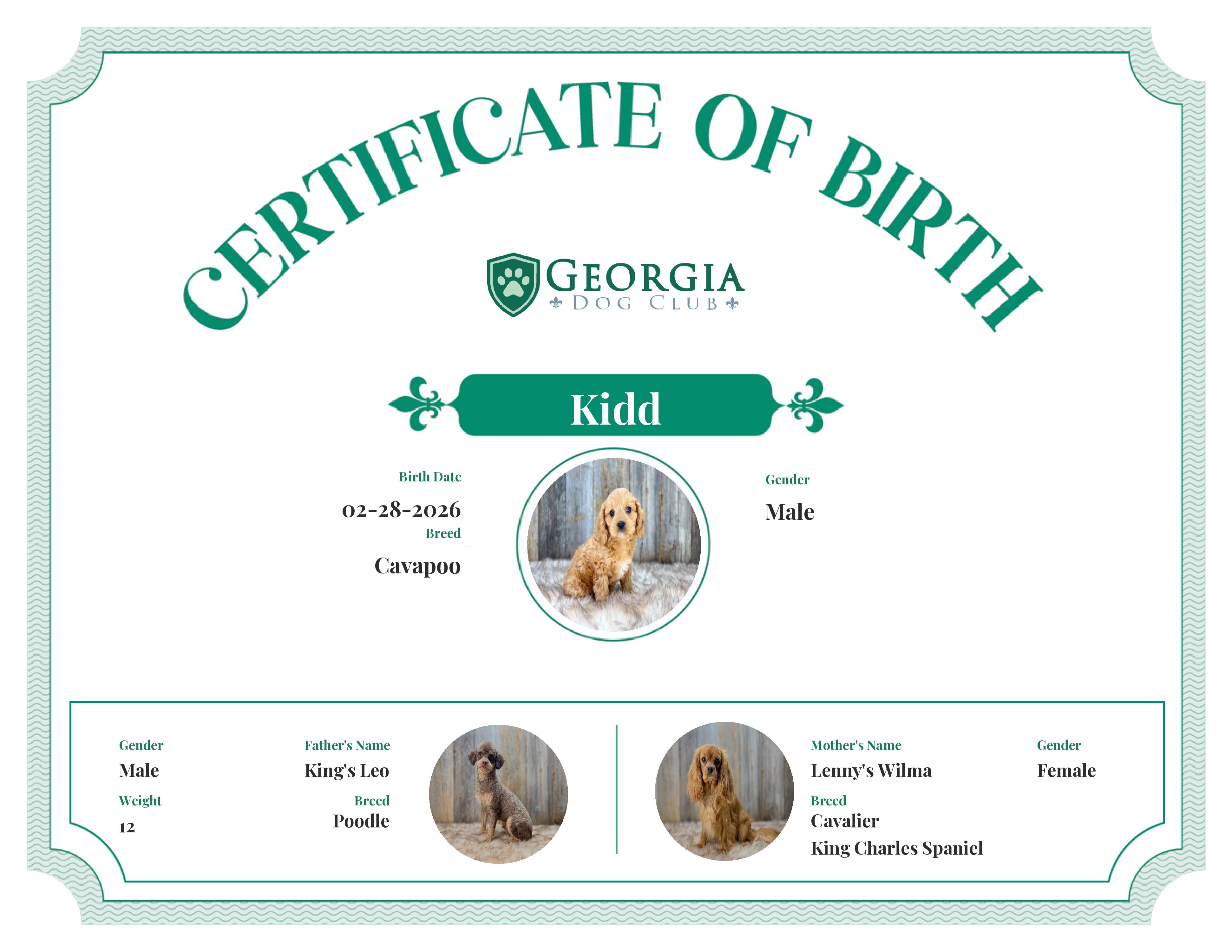 Kidd's Birth Certificate