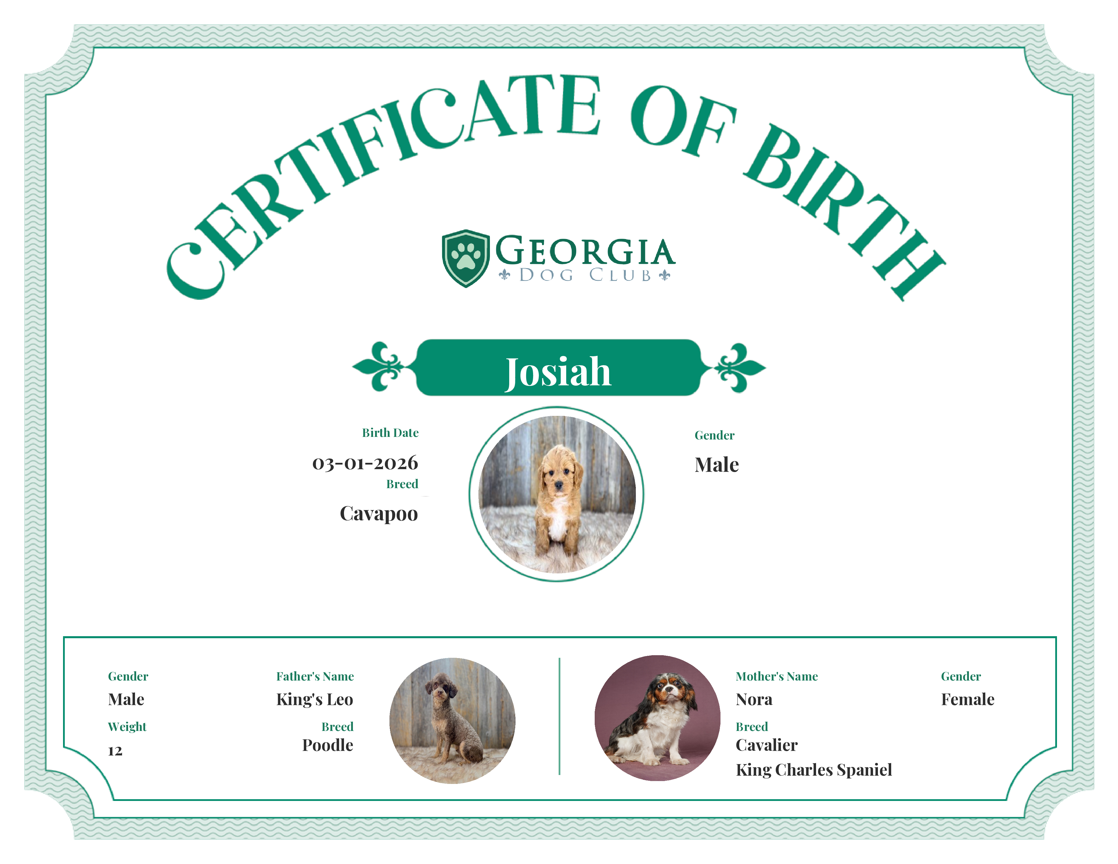 Josiah's Birth Certificate