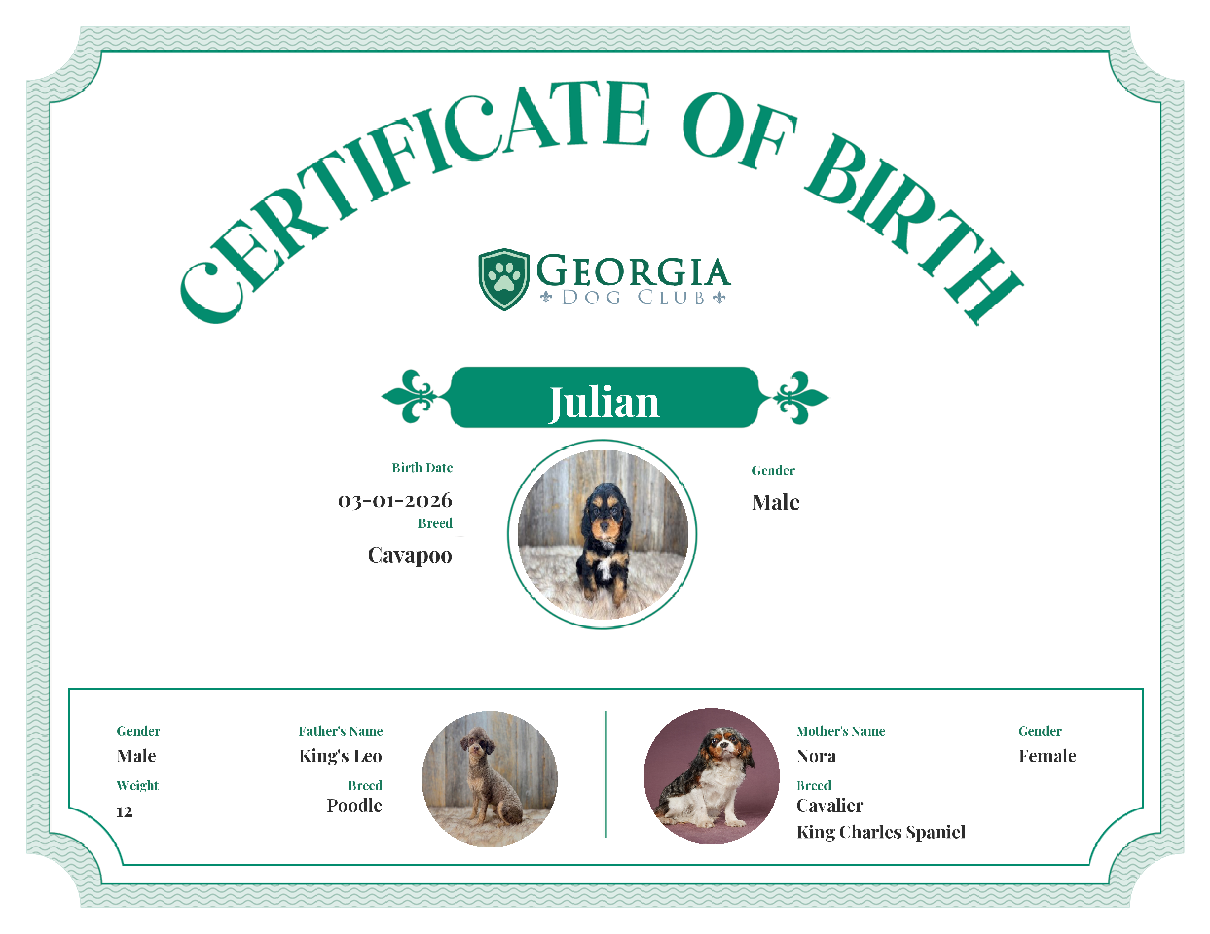 Julian's Birth Certificate
