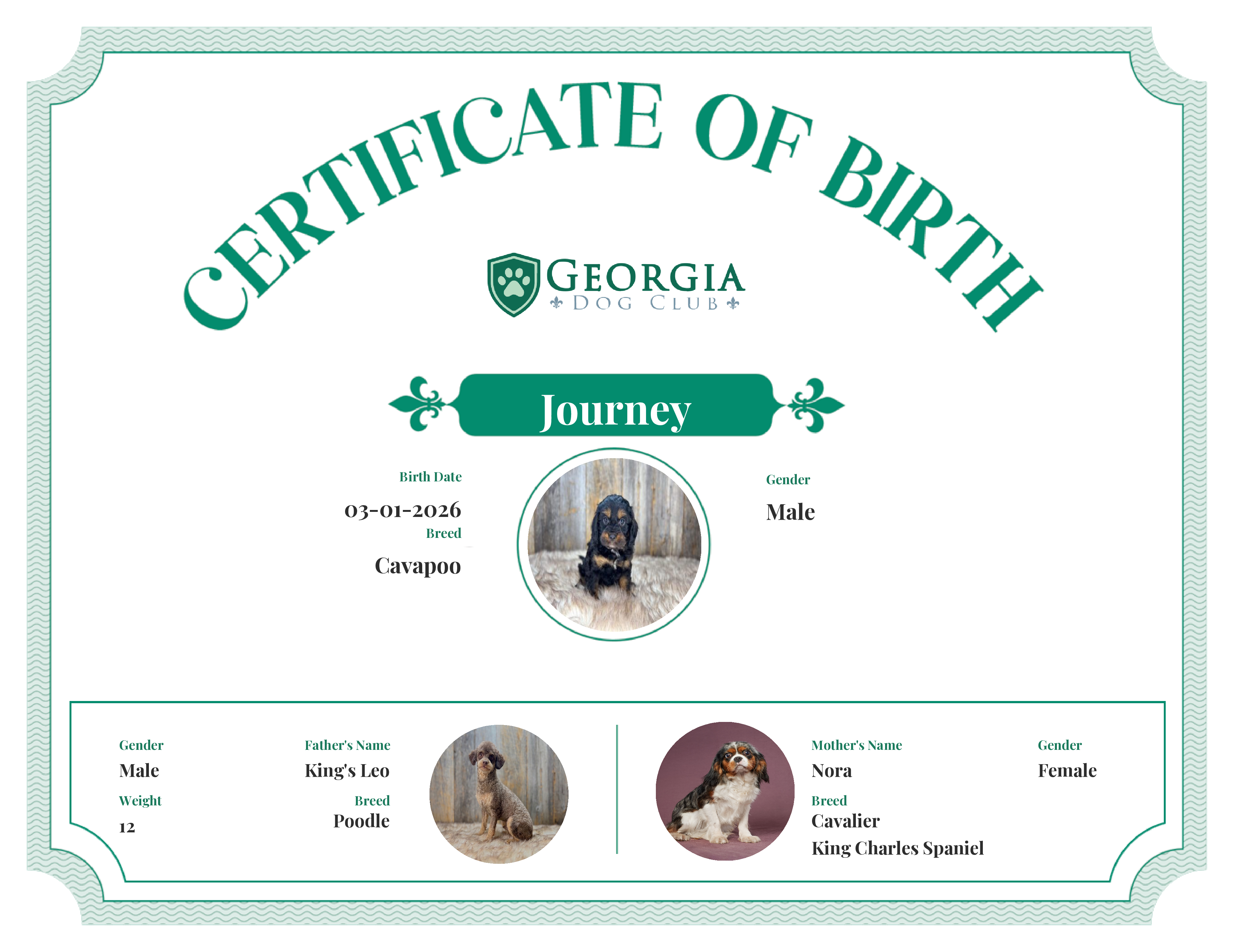 Journey's Birth Certificate