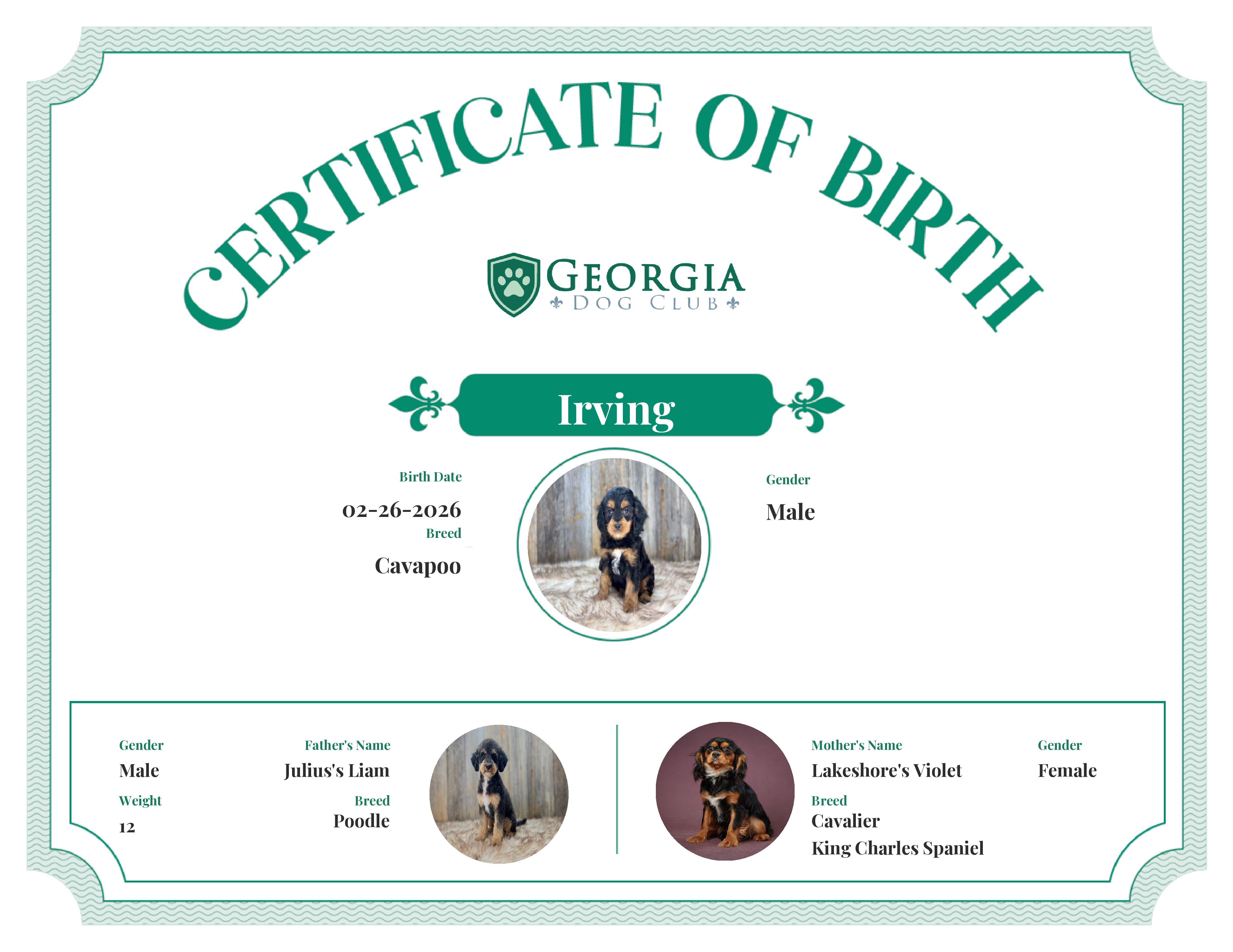 Irving's Birth Certificate