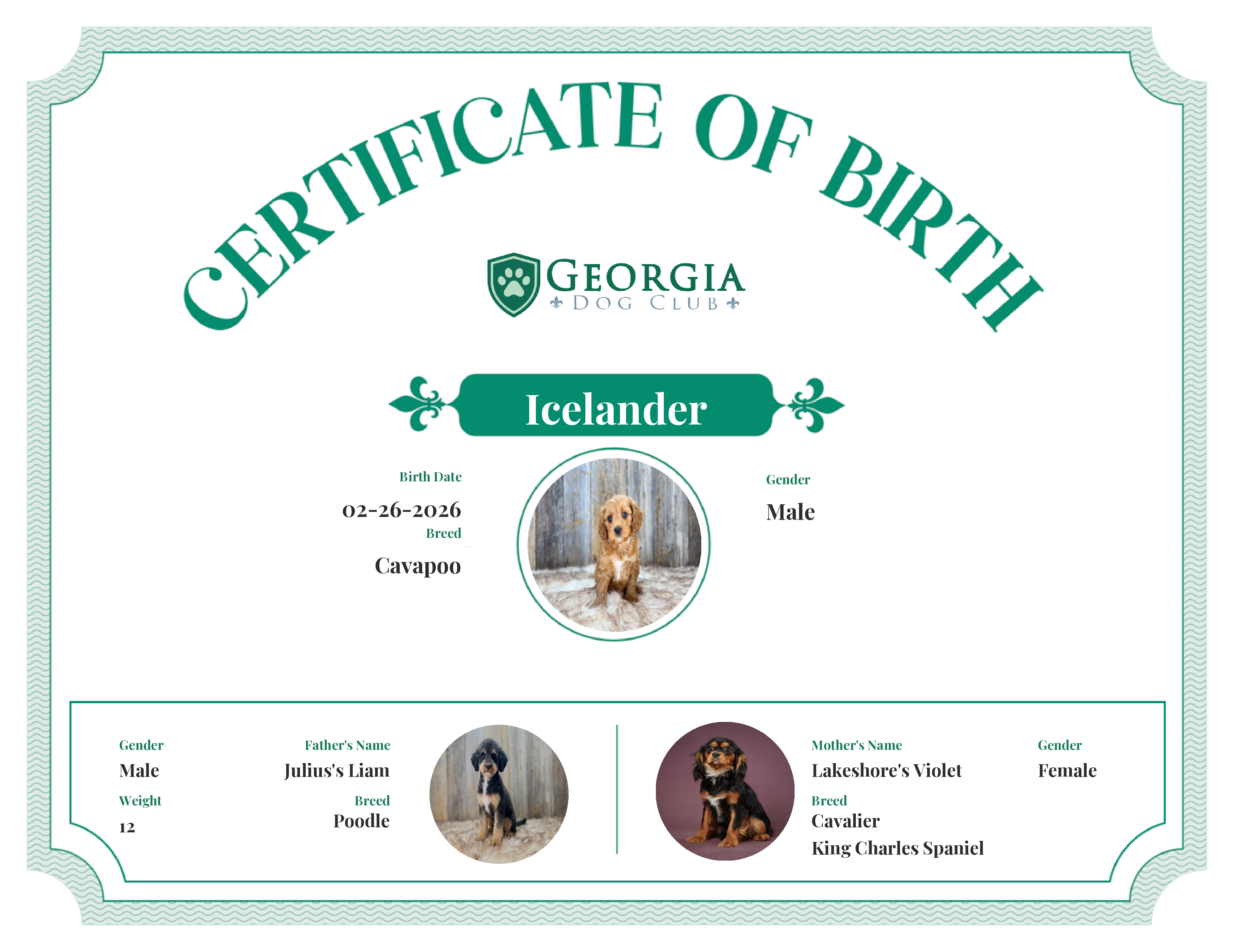 Icelander's Birth Certificate